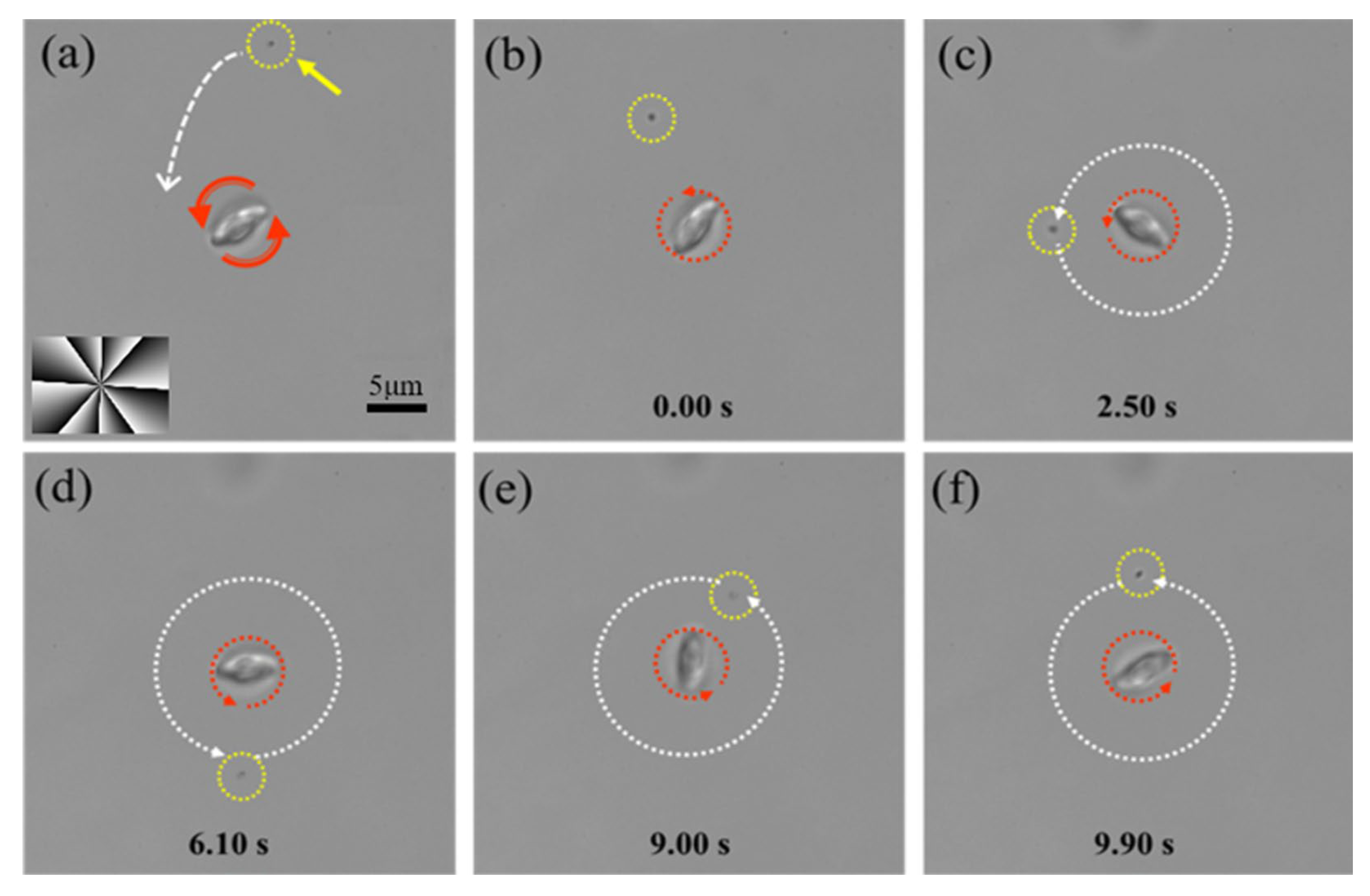 Photonics 12 00531 g004