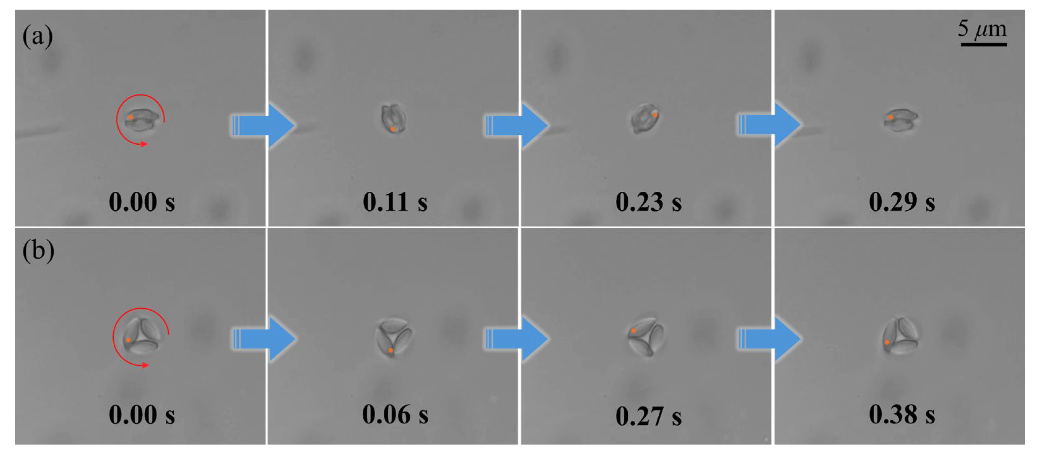 Photonics 12 00531 g005