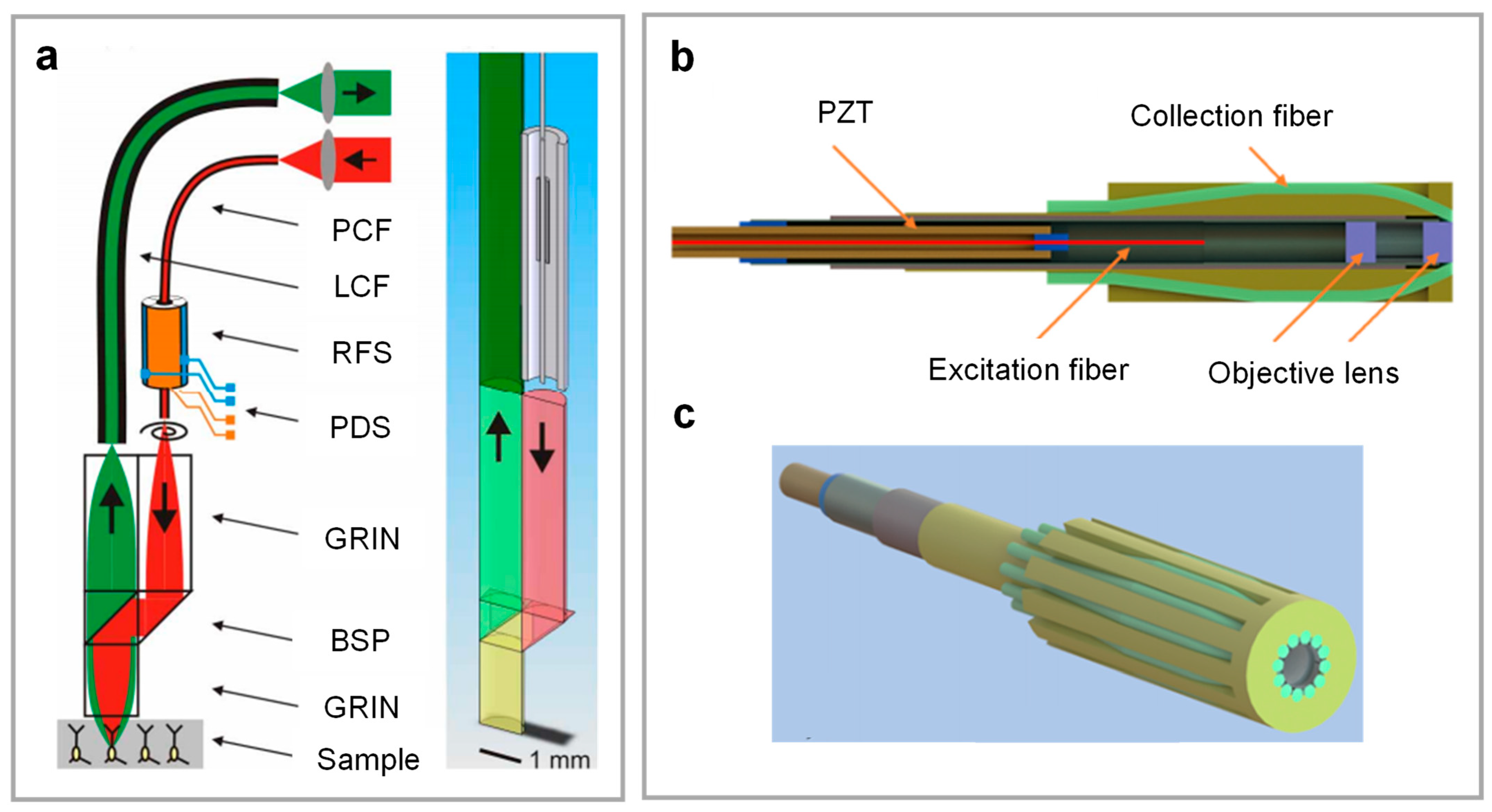 Photonics 12 00546 g003