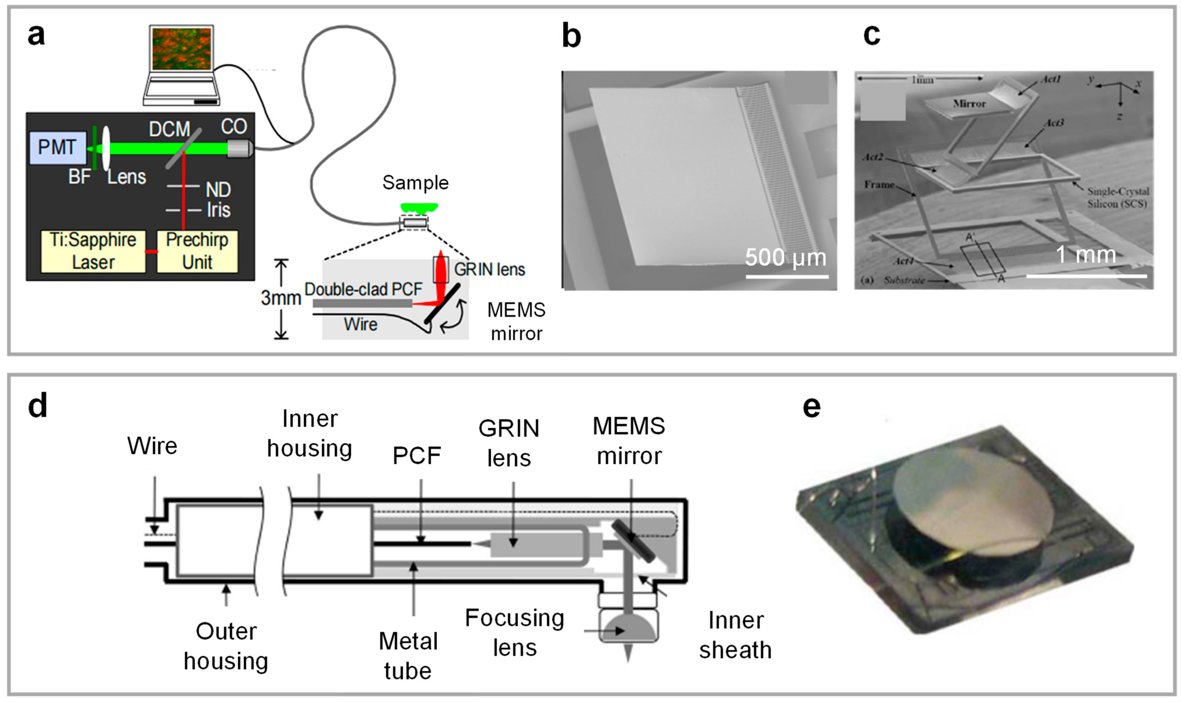 Photonics 12 00546 g004