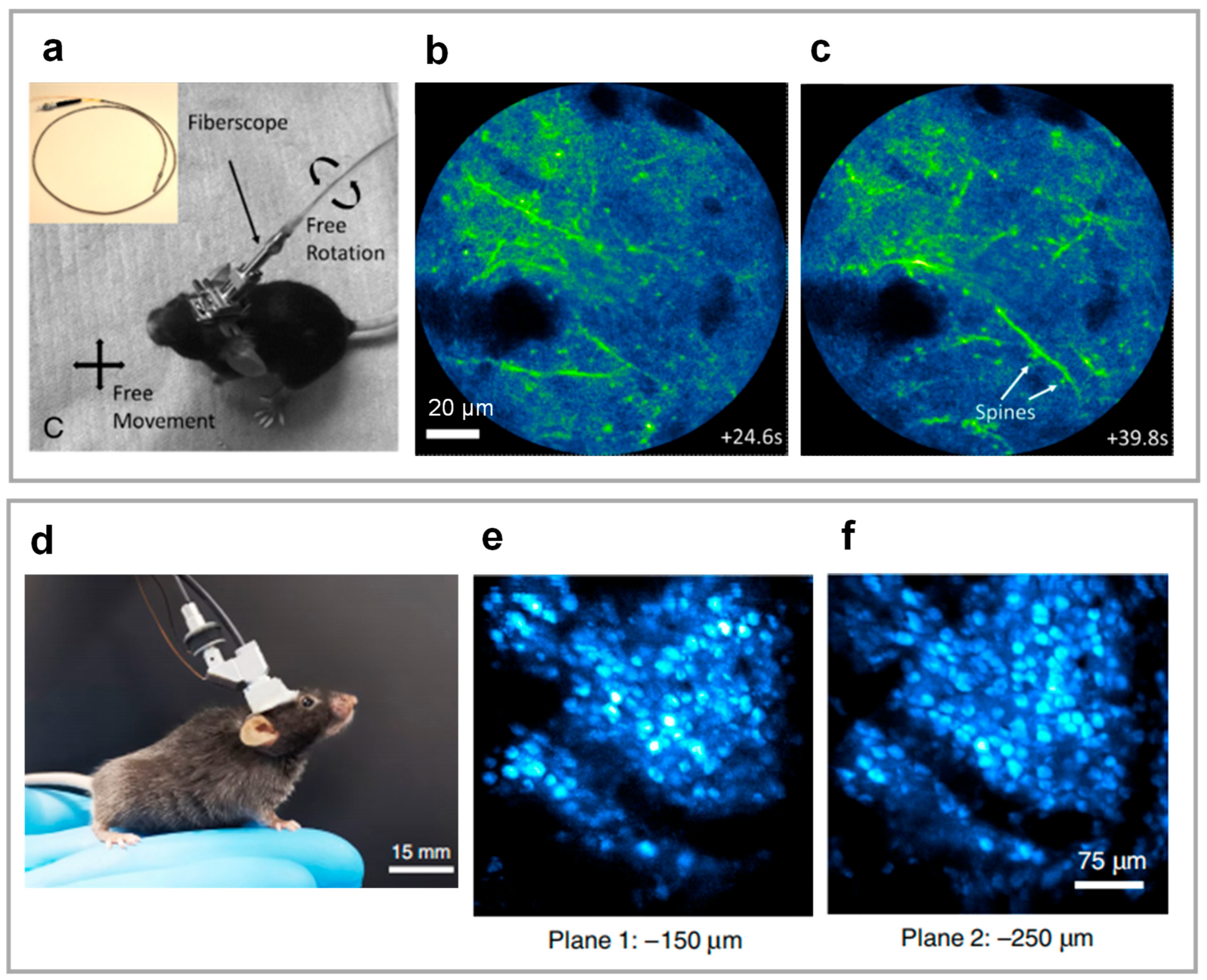 Photonics 12 00546 g007