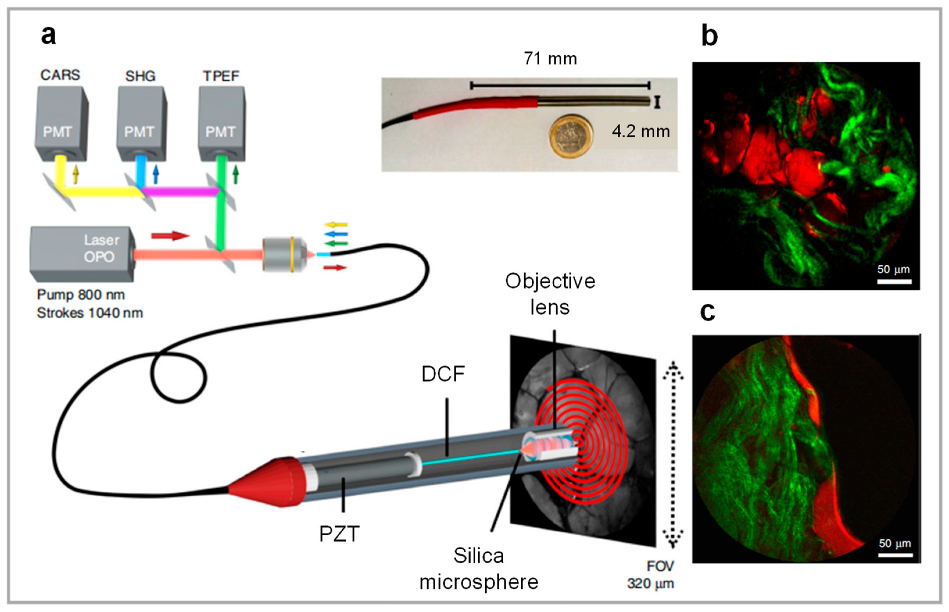 Photonics 12 00546 g008