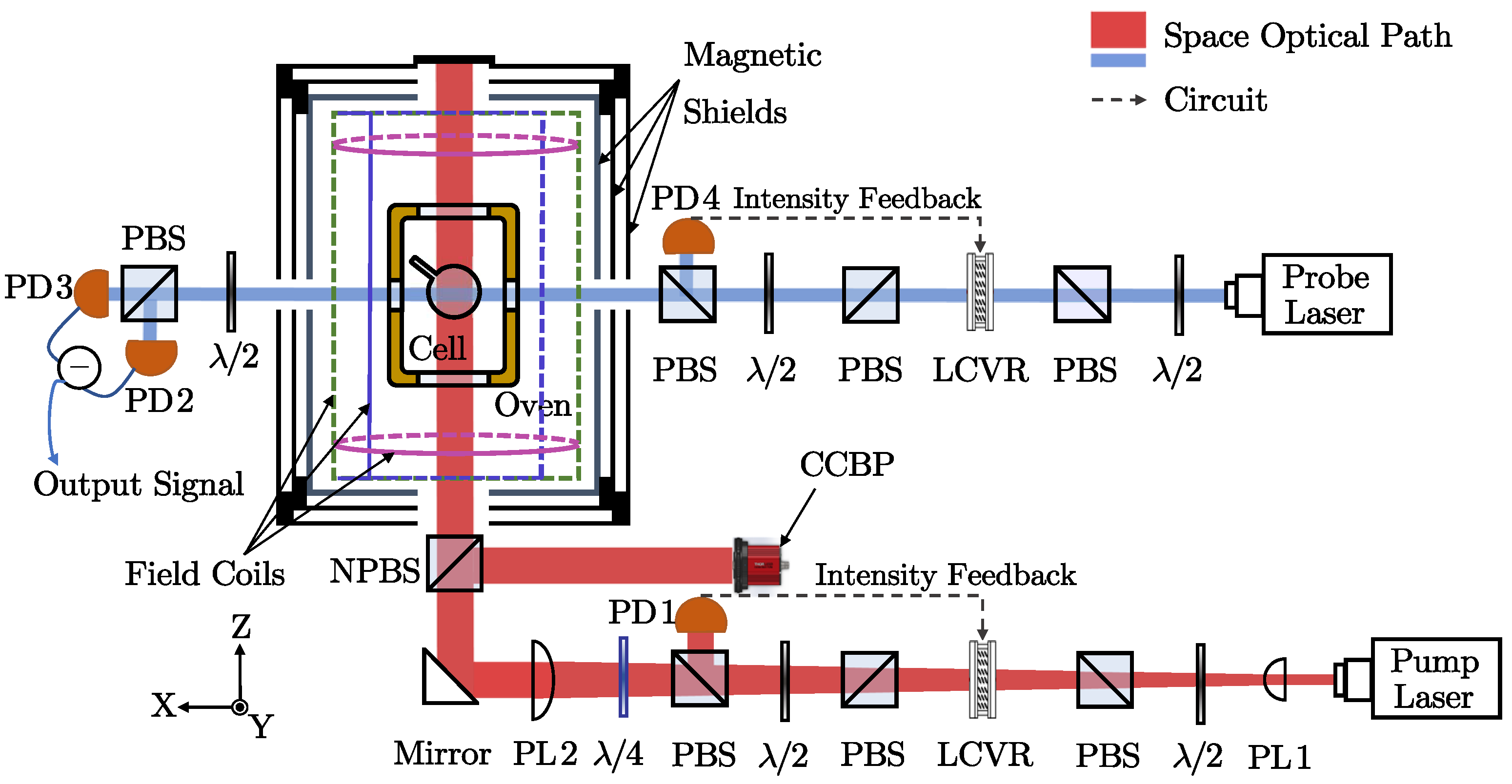 Photonics 12 00550 g003