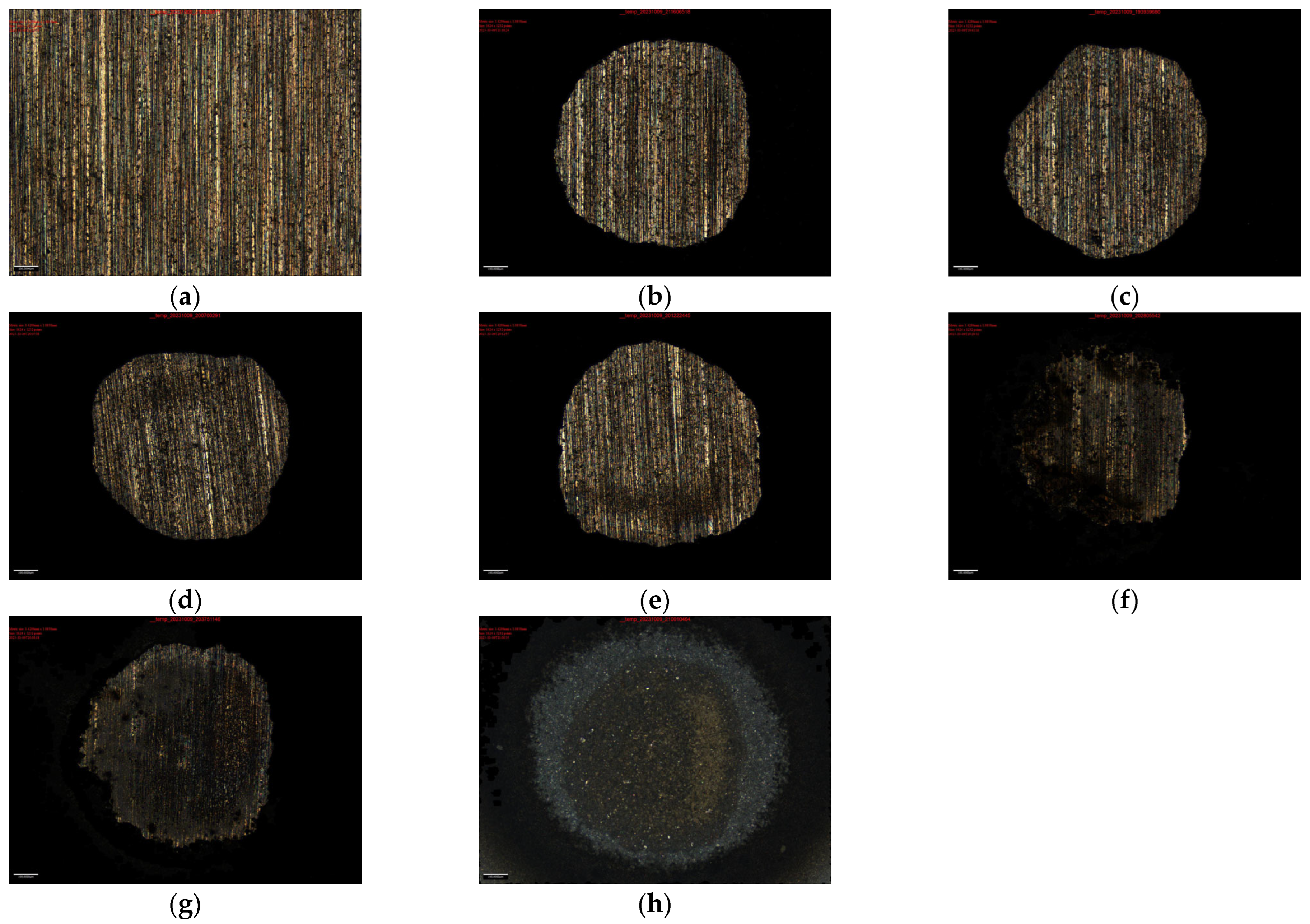 Photonics 12 00575 g004