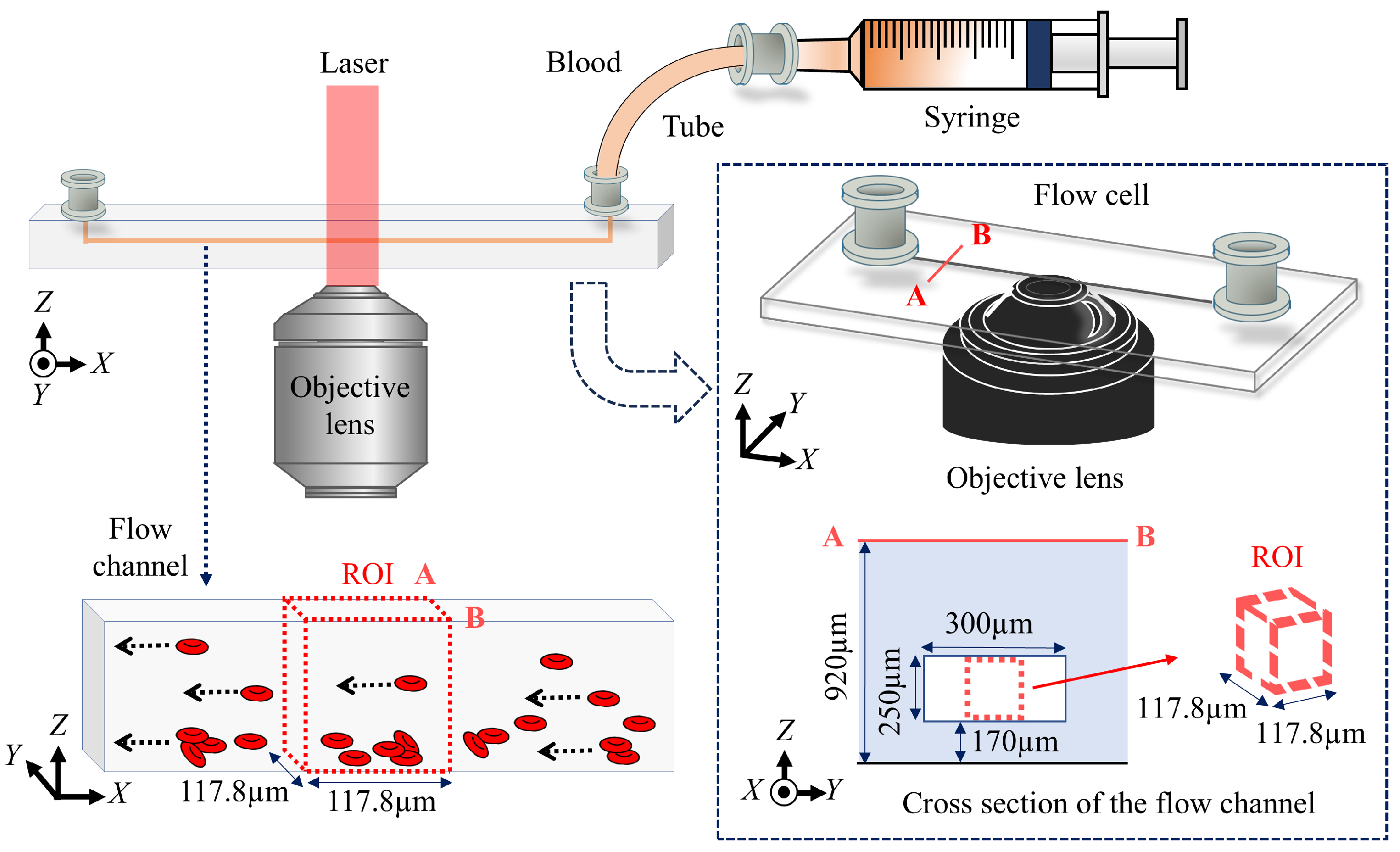 Photonics 12 00600 g002 Photonics 12 00600 g002