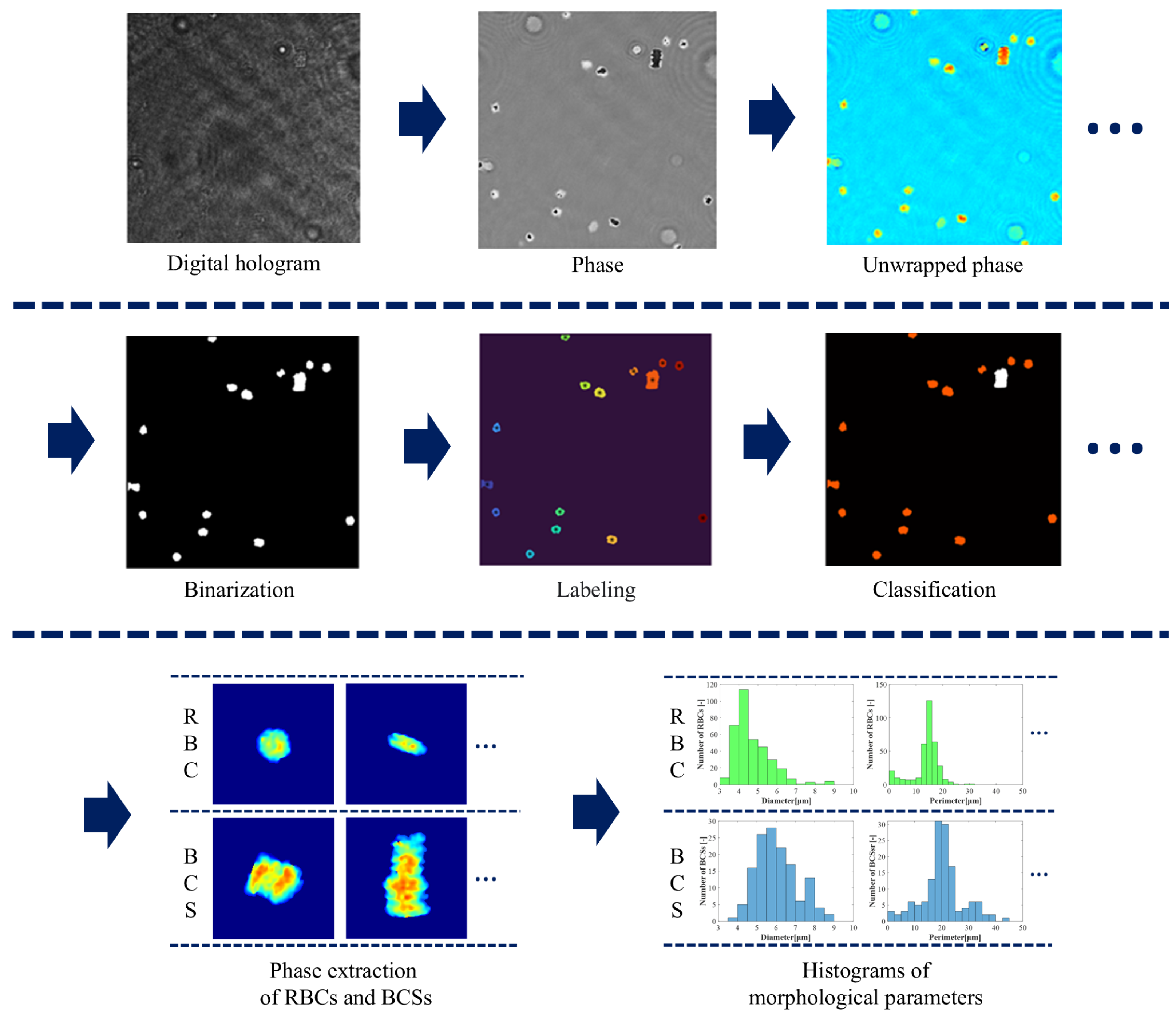 Photonics 12 00600 g003 Photonics 12 00600 g003