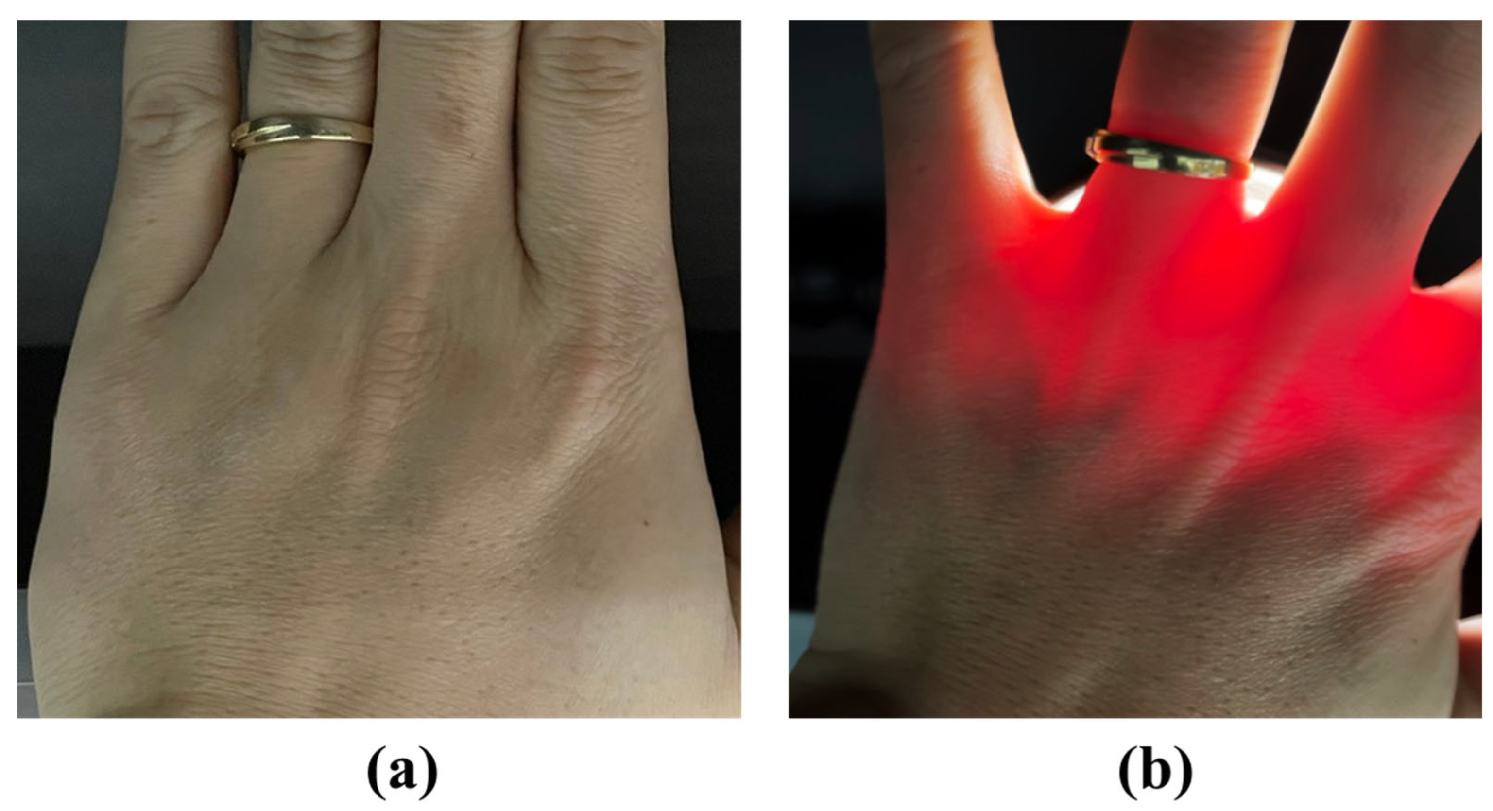 Photonics 12 00606 g010