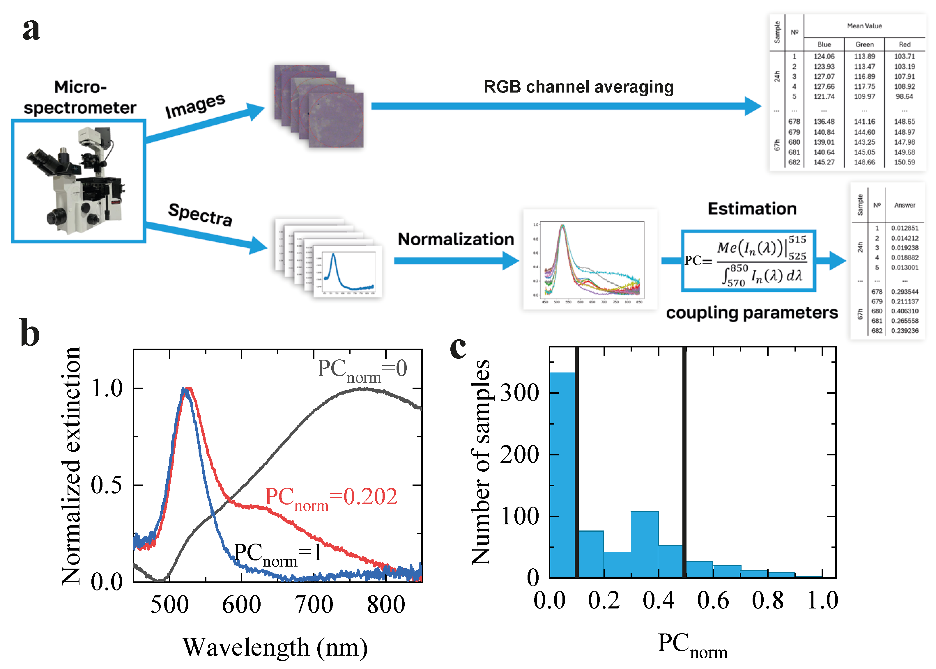 Photonics 12 00619 g005