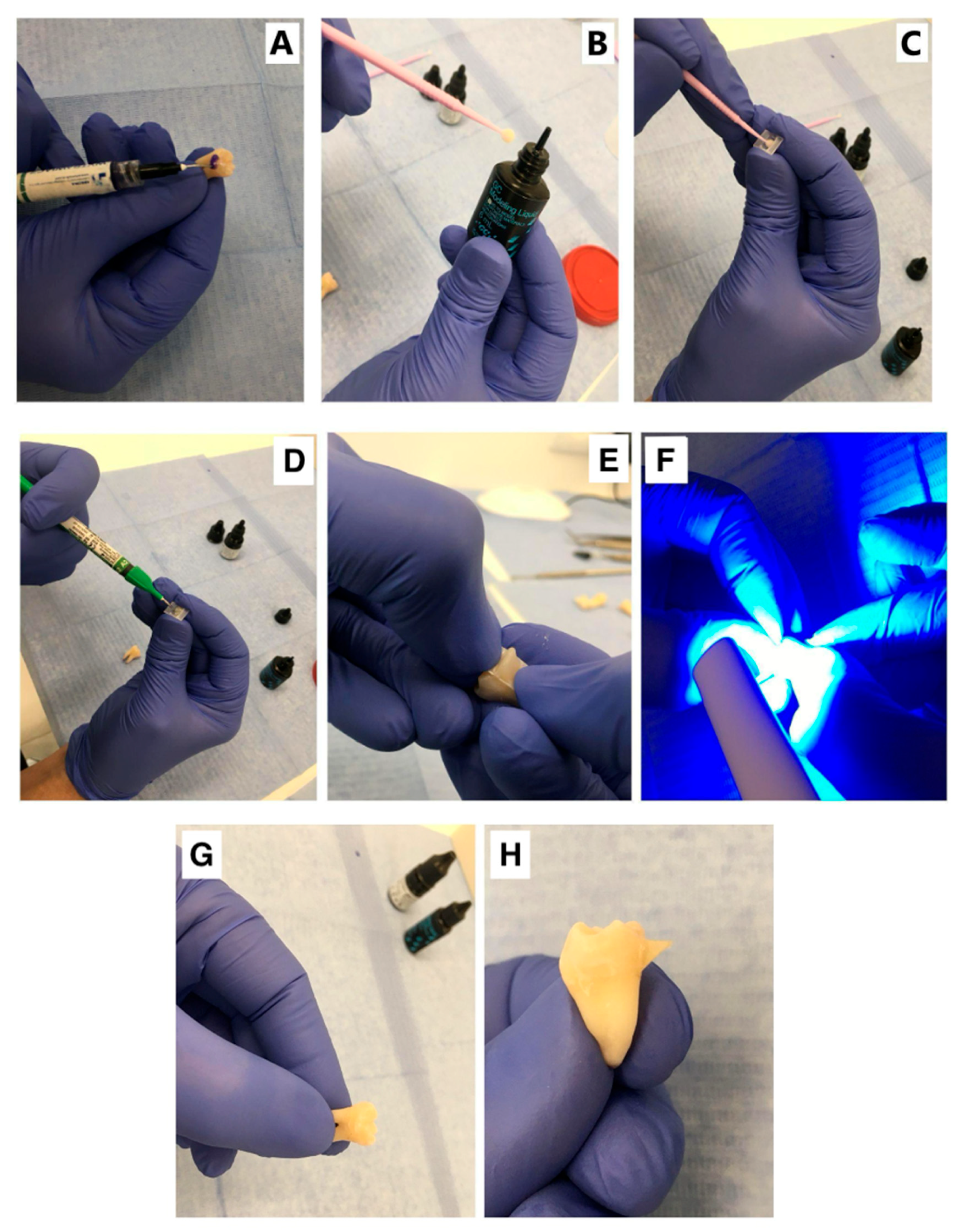 Photonics 12 00621 g001