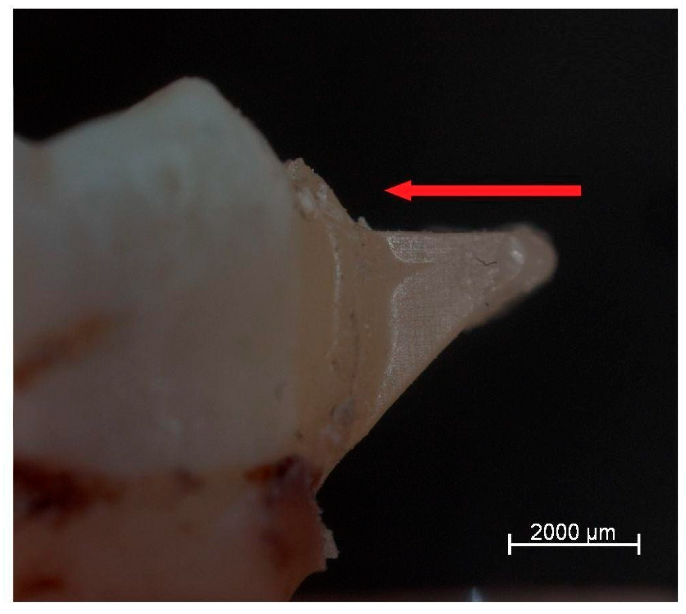 Photonics 12 00621 g002