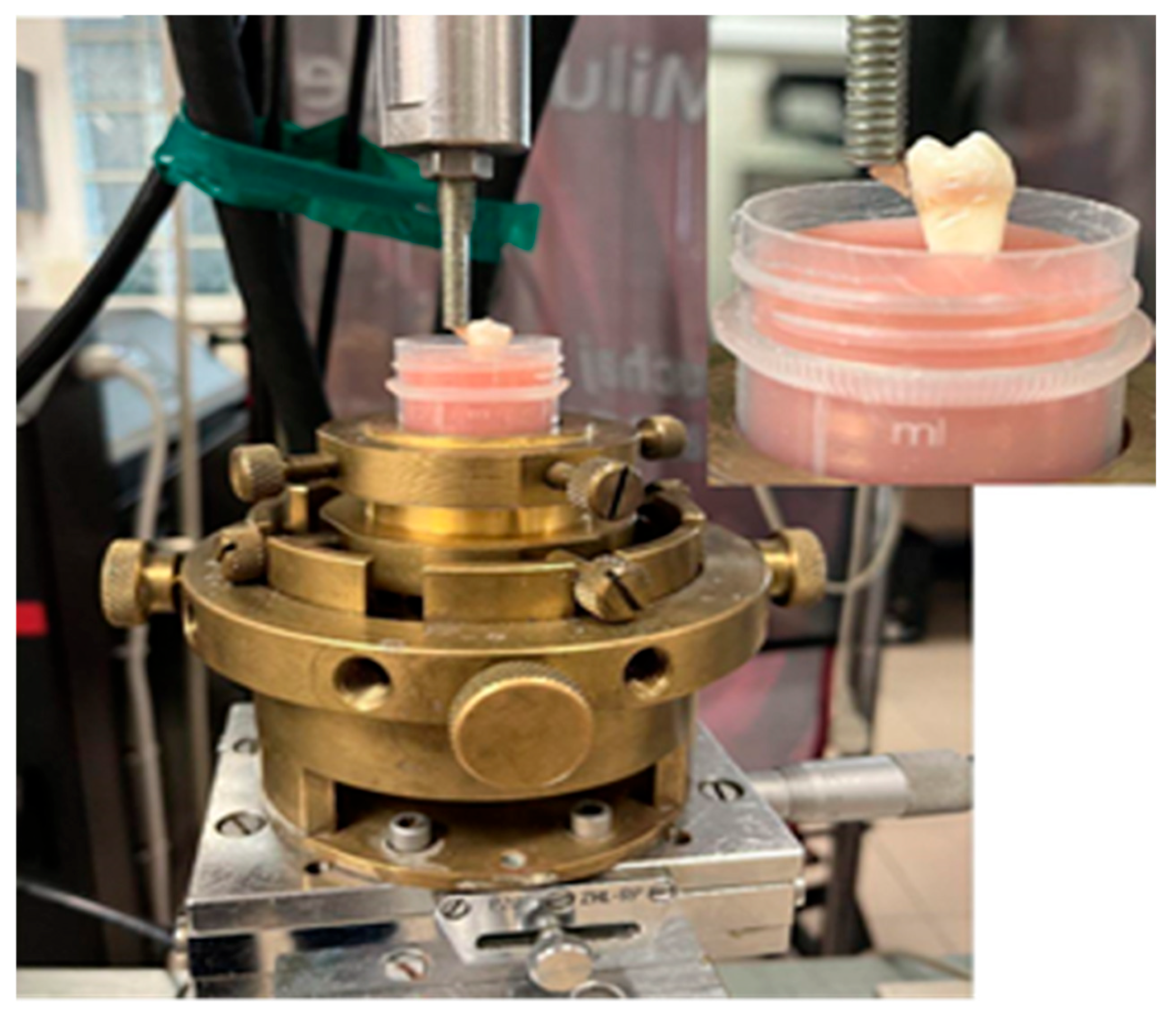 Photonics 12 00621 g003