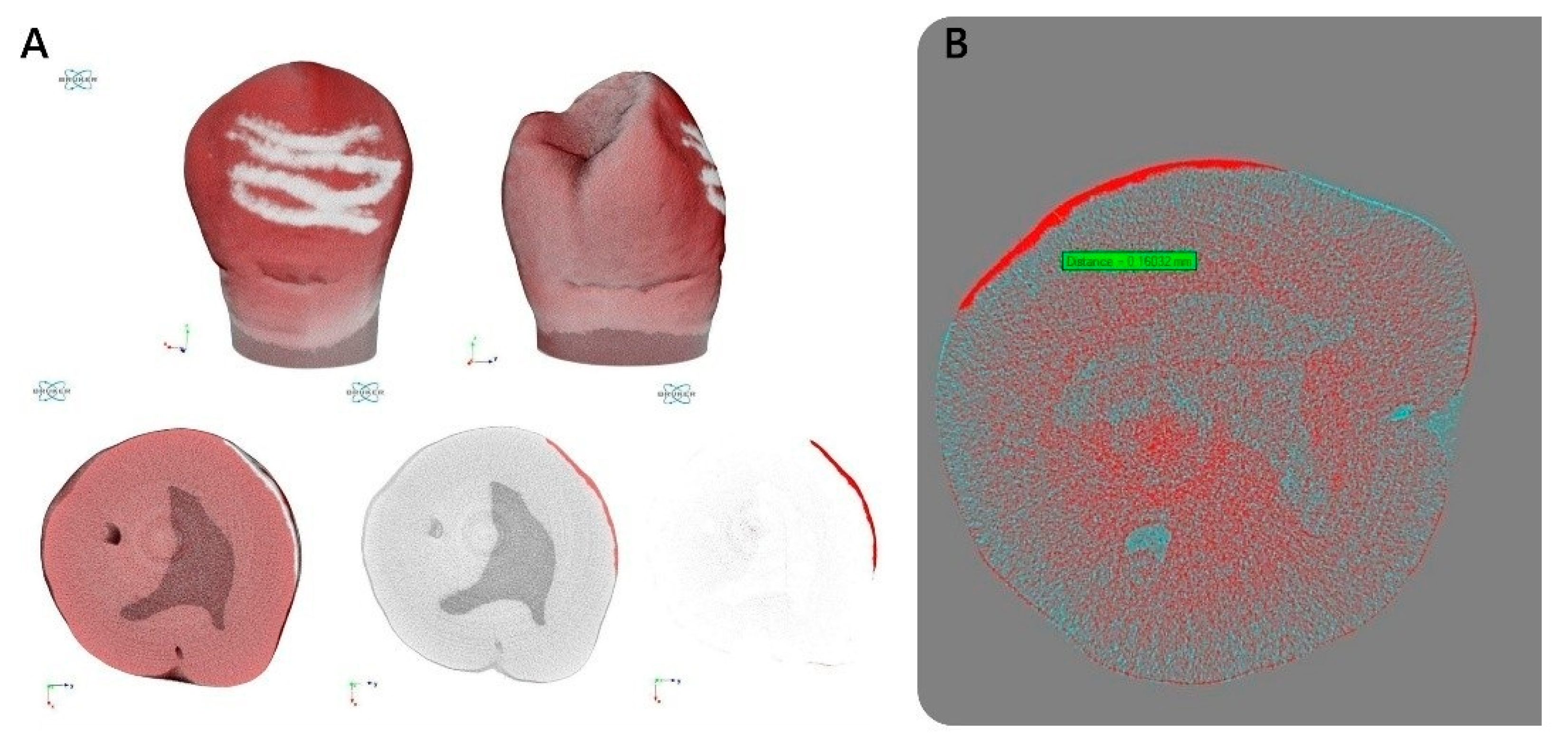 Photonics 12 00621 g004
