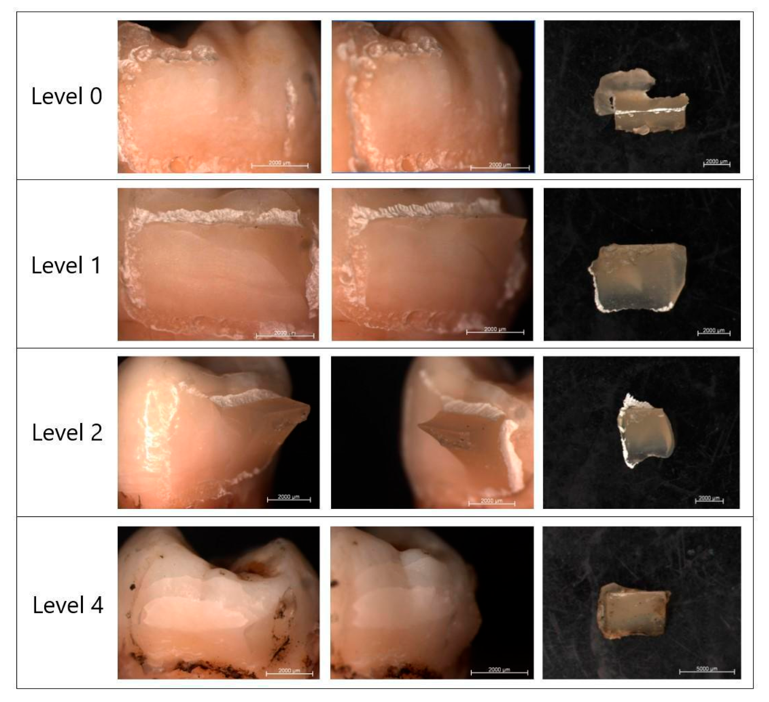 Photonics 12 00621 g006