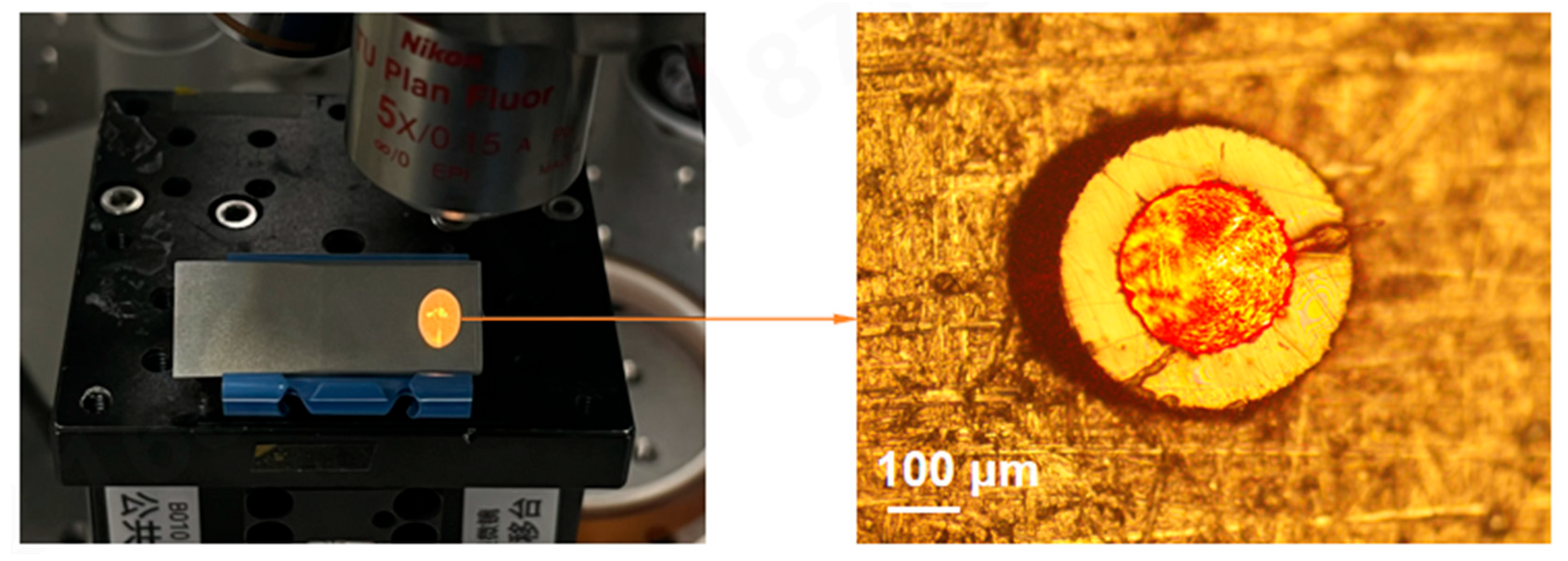 Photonics 12 00627 g004