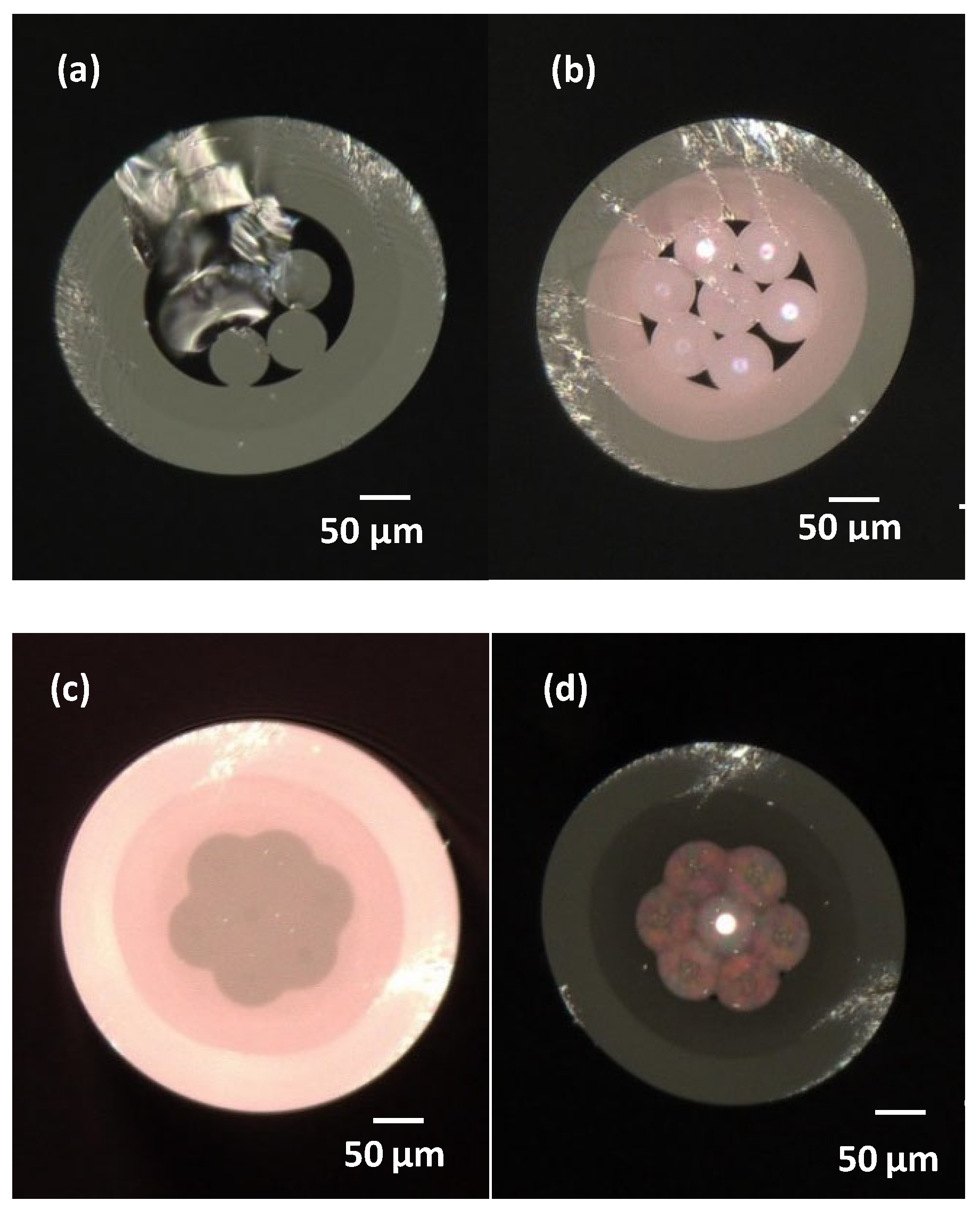 Photonics 12 00659 g005
