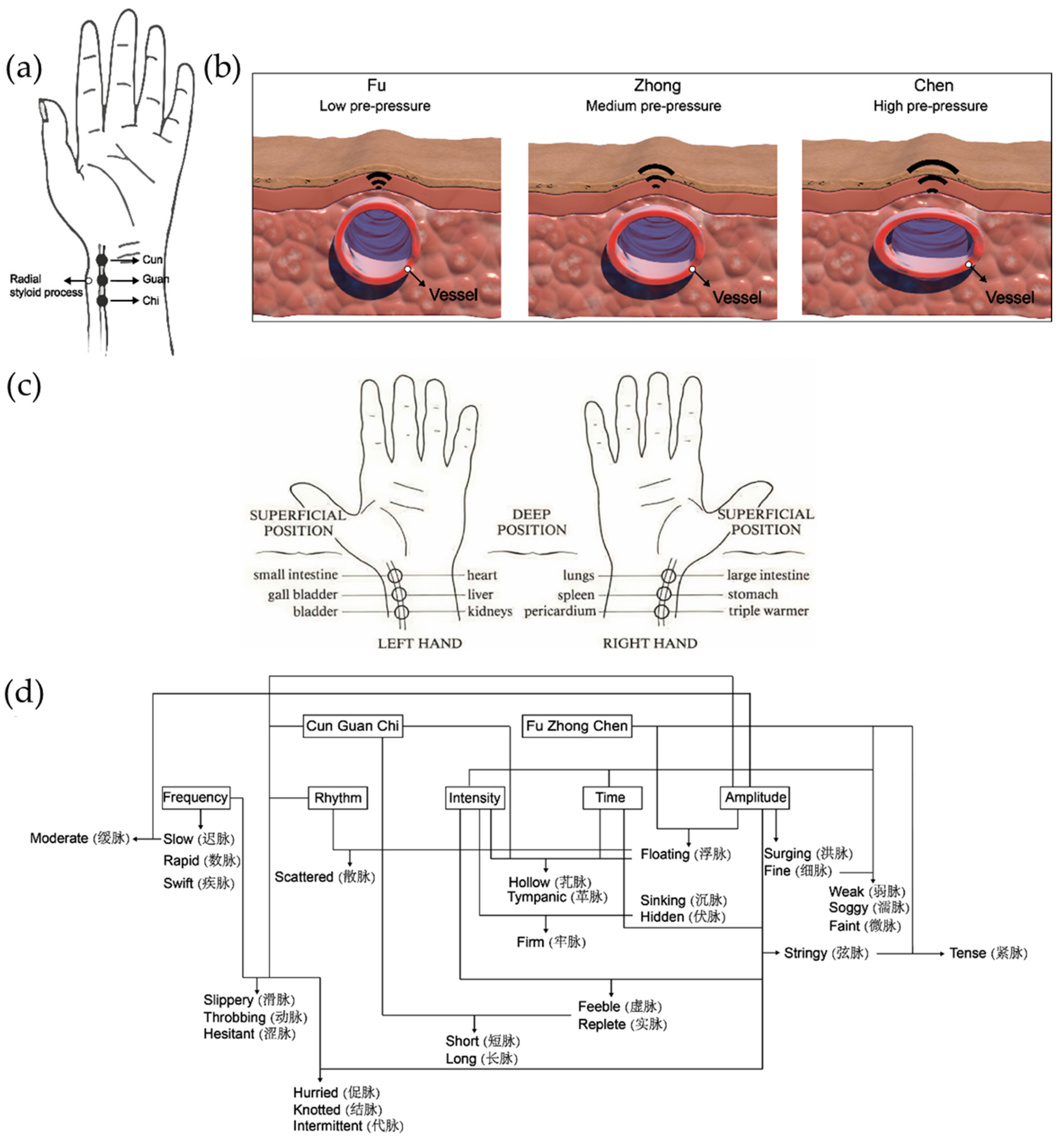 Photonics 12 00662 g008