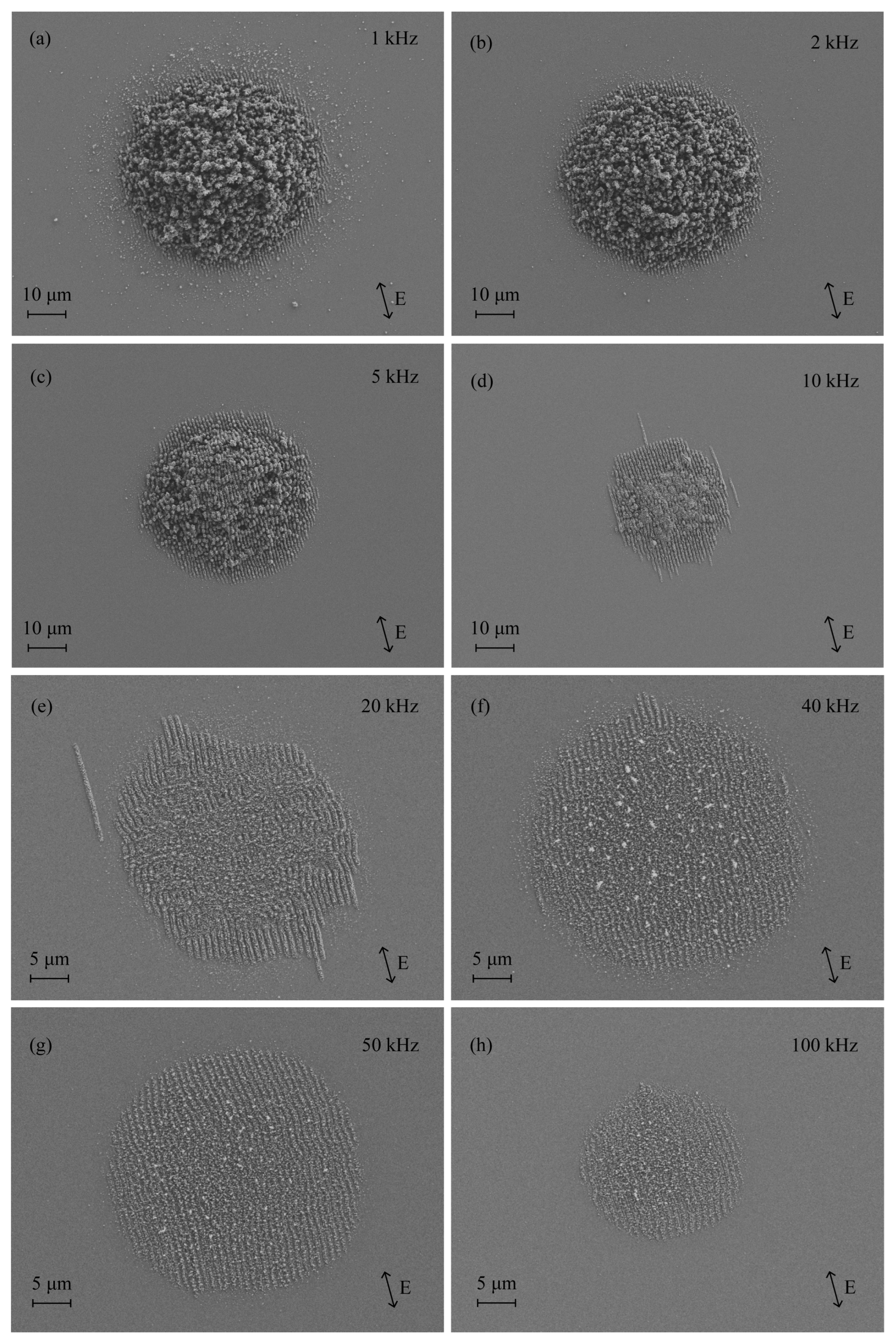 Photonics 12 00667 g002