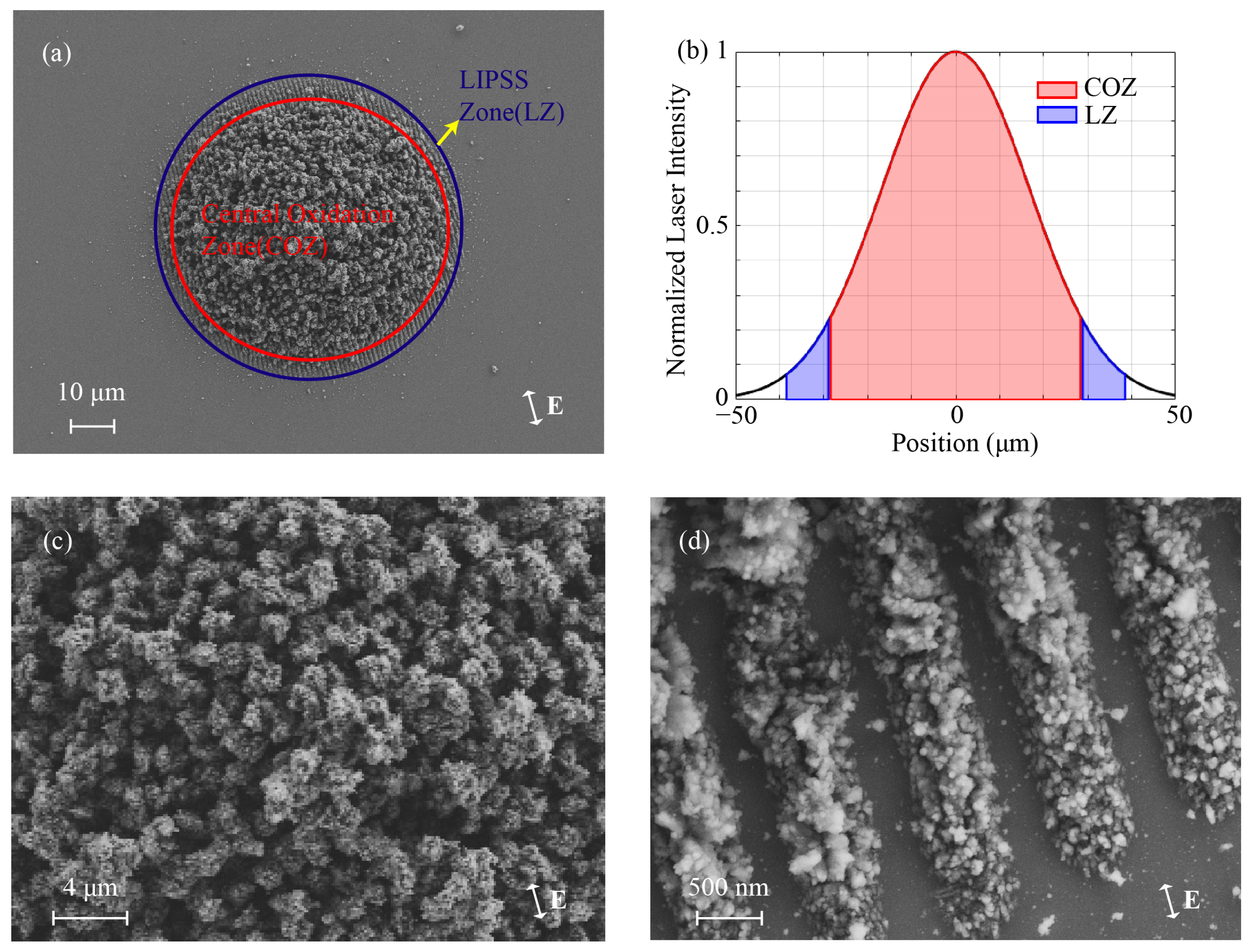 Photonics 12 00667 g003