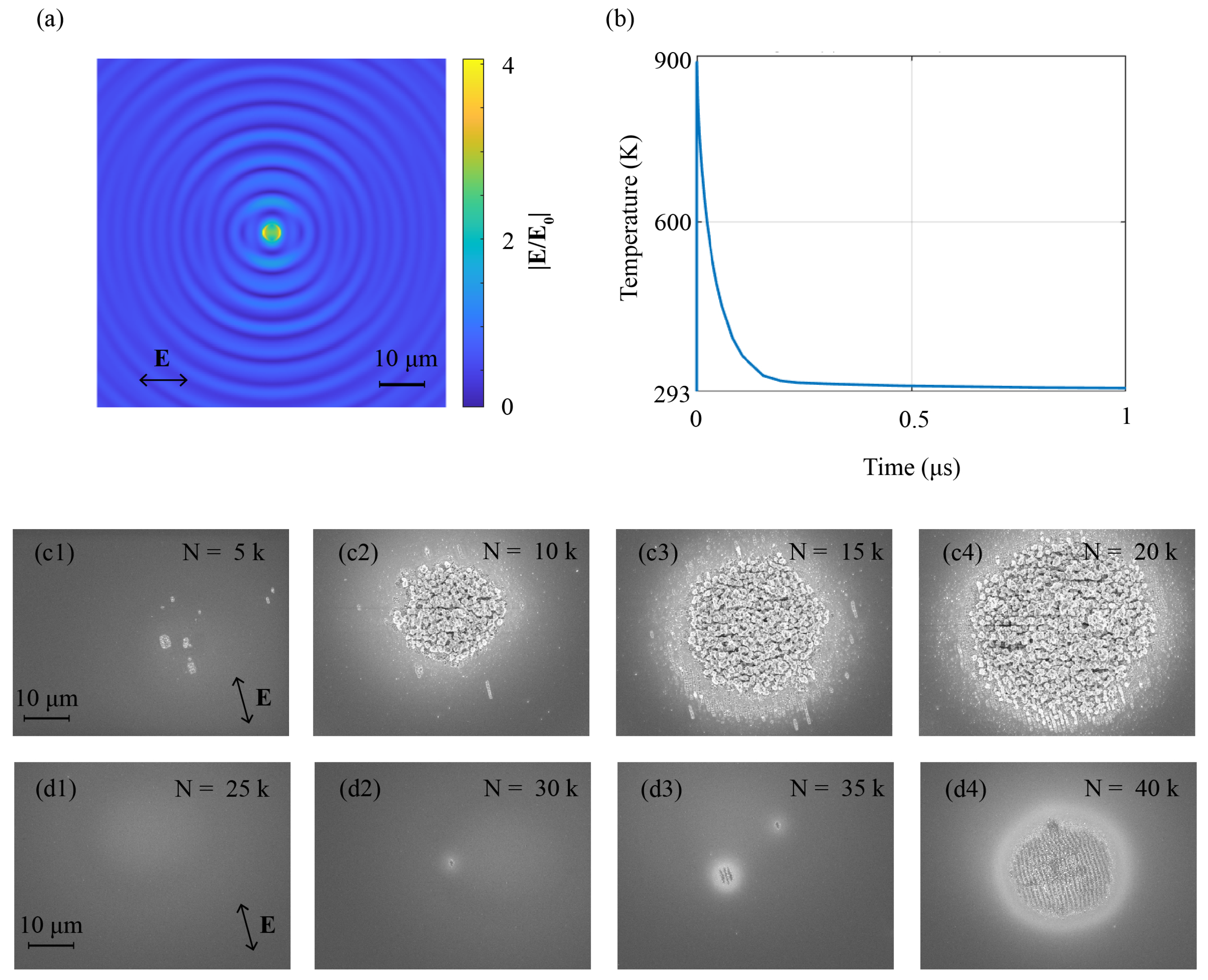 Photonics 12 00667 g006