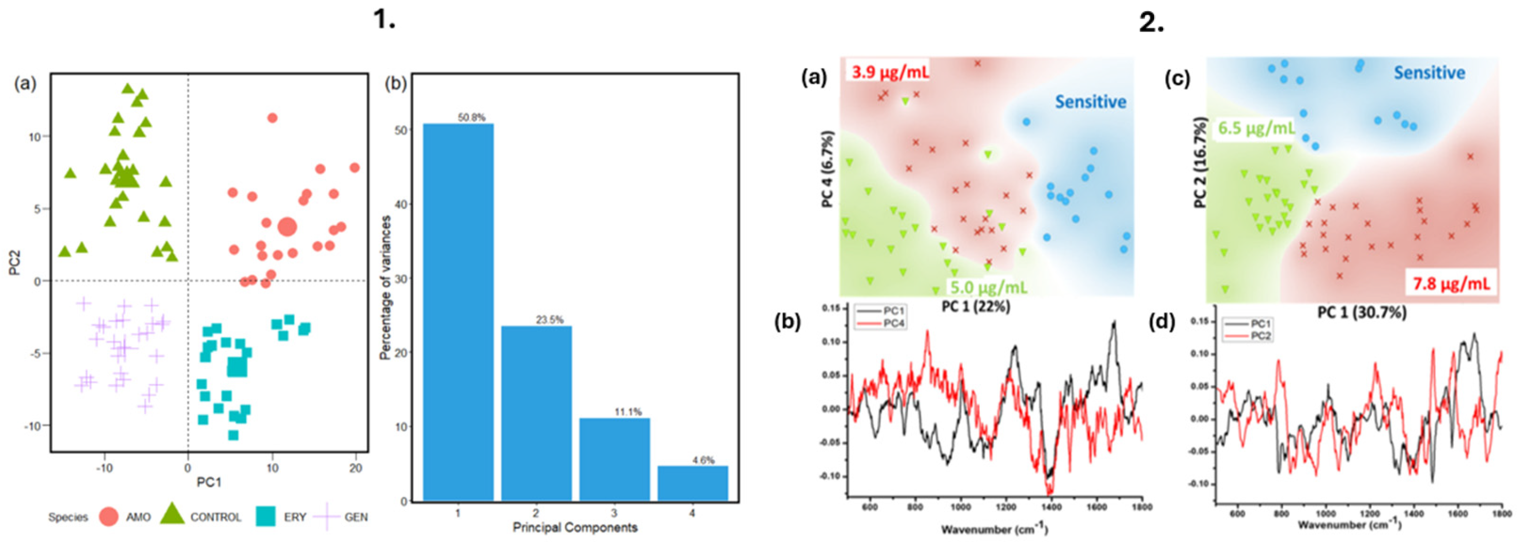 Photonics 12 00672 g009