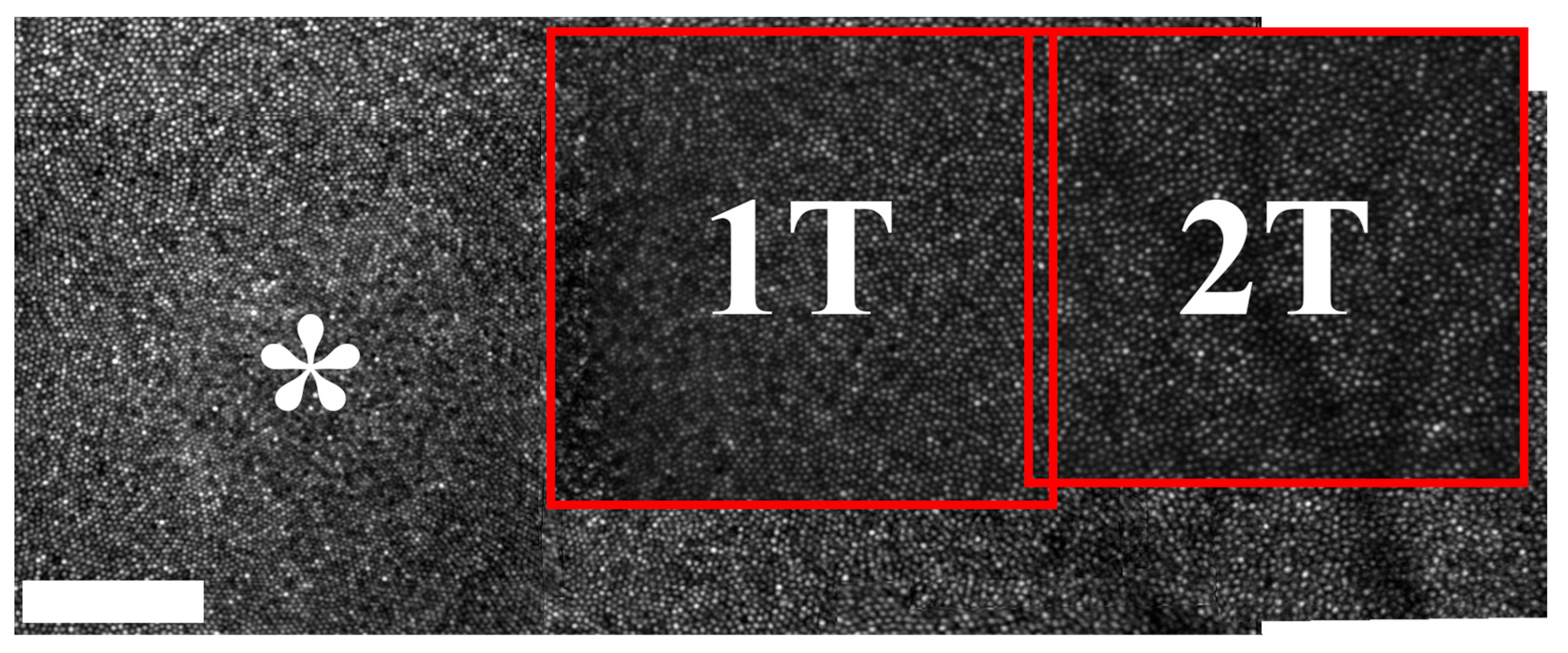 Photonics 12 00676 g001