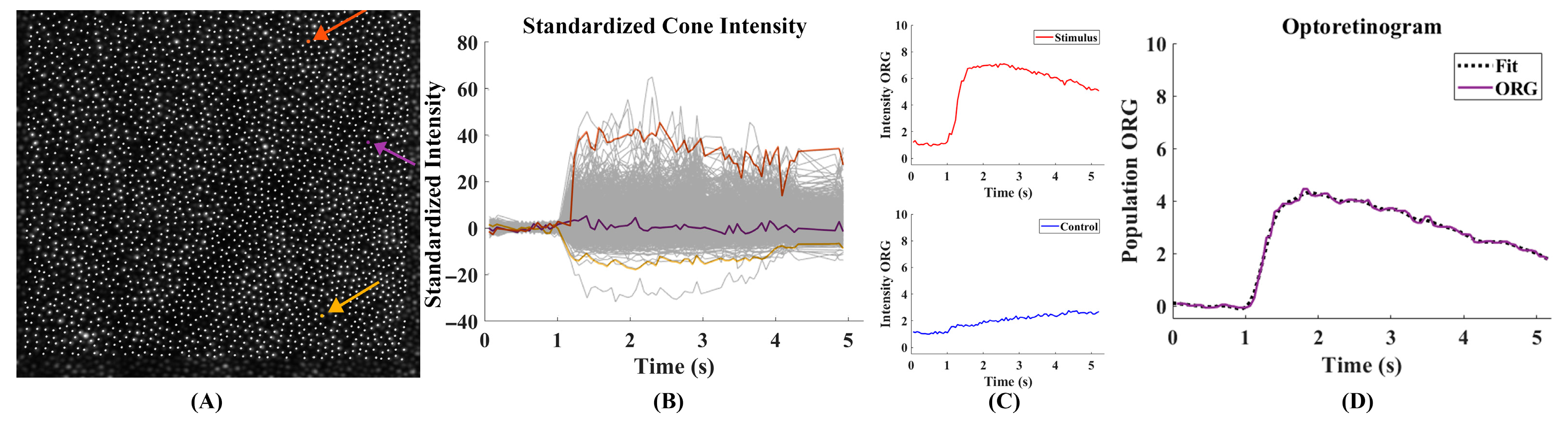 Photonics 12 00676 g002