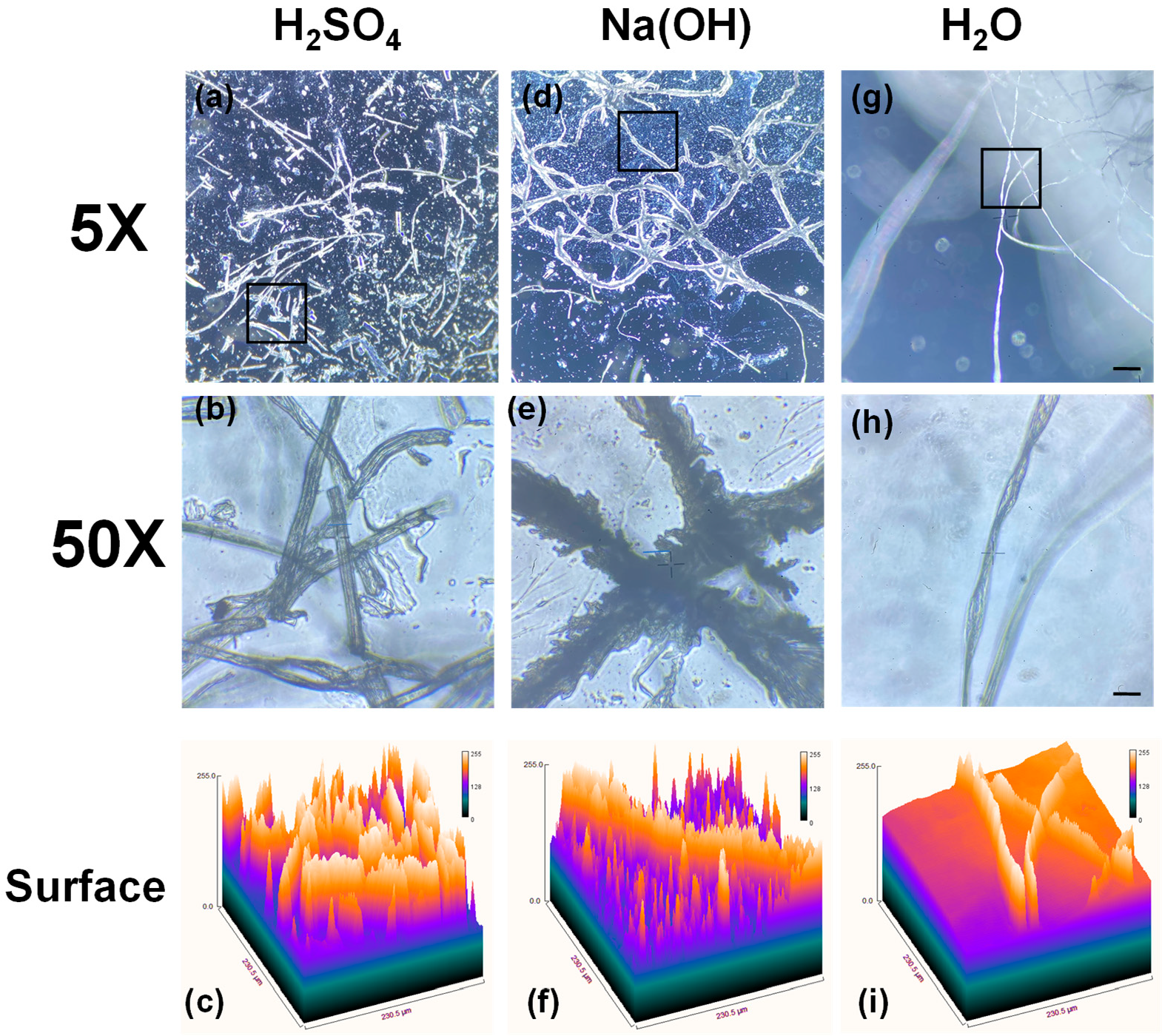 Photonics 12 00688 g001