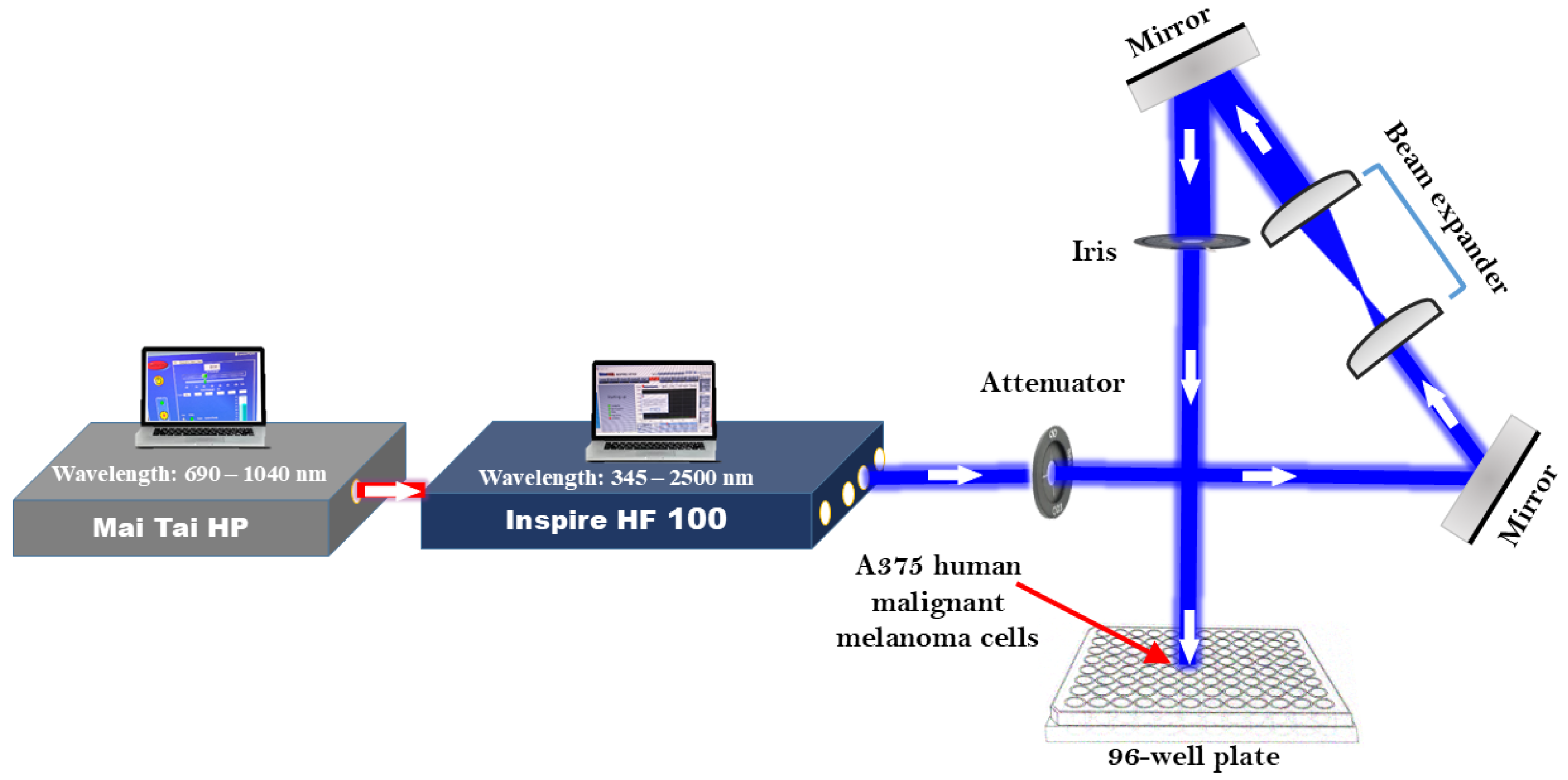 Photonics 12 00694 g001