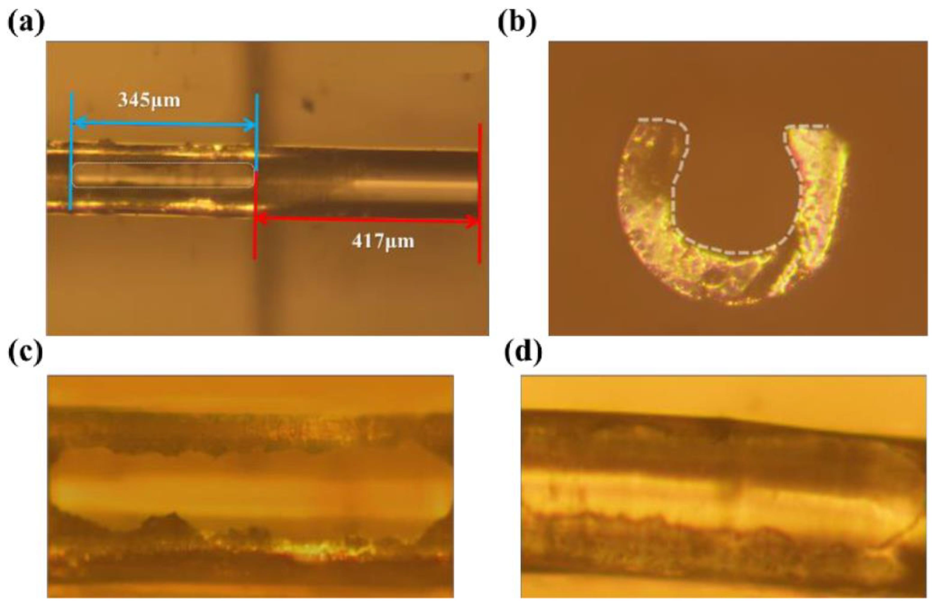 Photonics 12 00695 g004