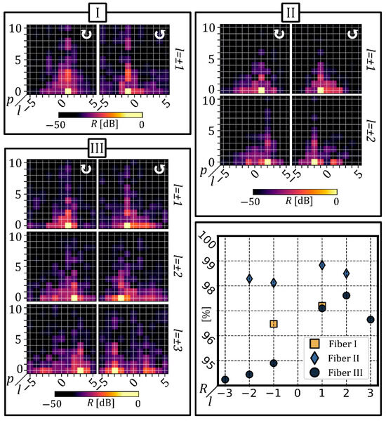Singular Value Decomposition-Assisted Holographic Generation of