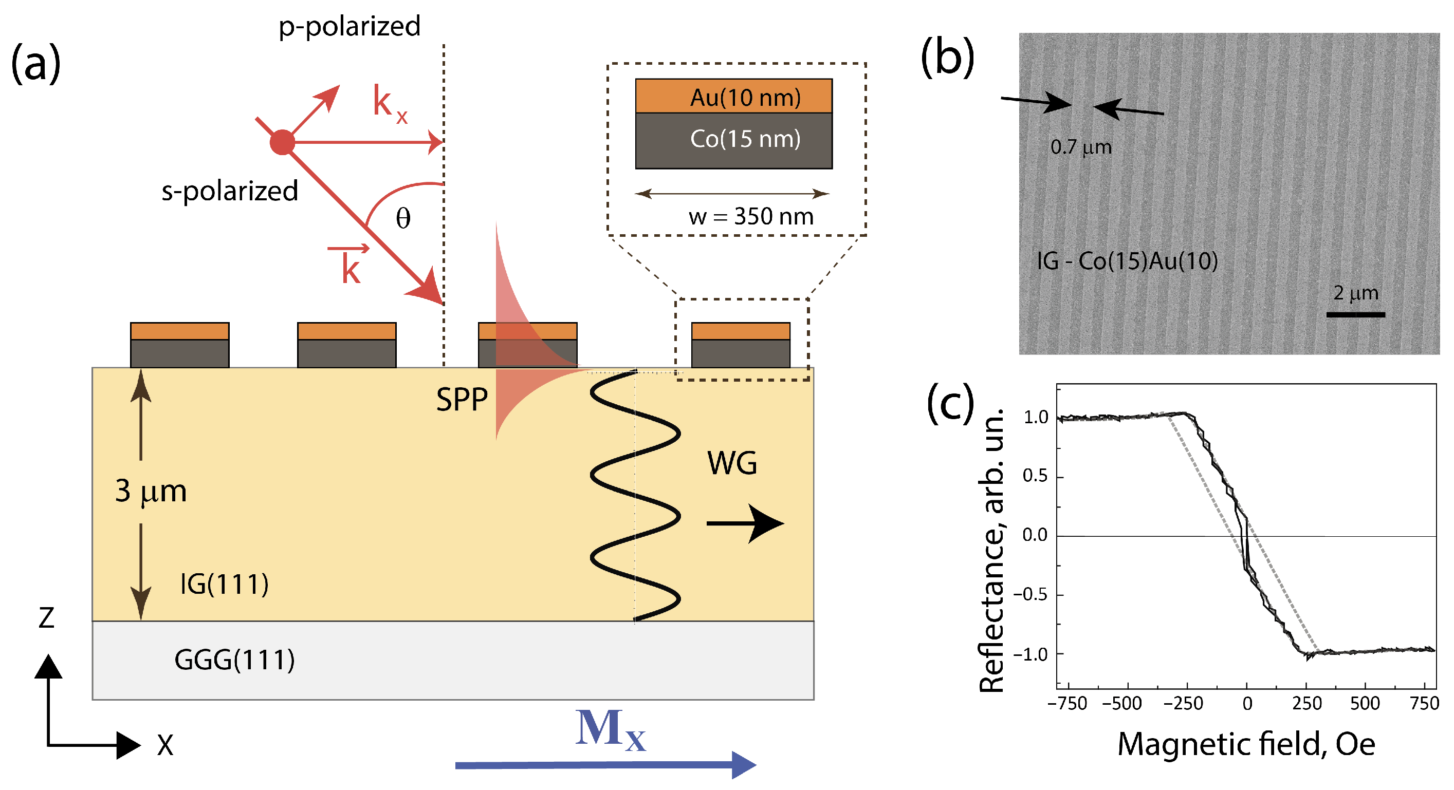 Photonics 12 00728 g001