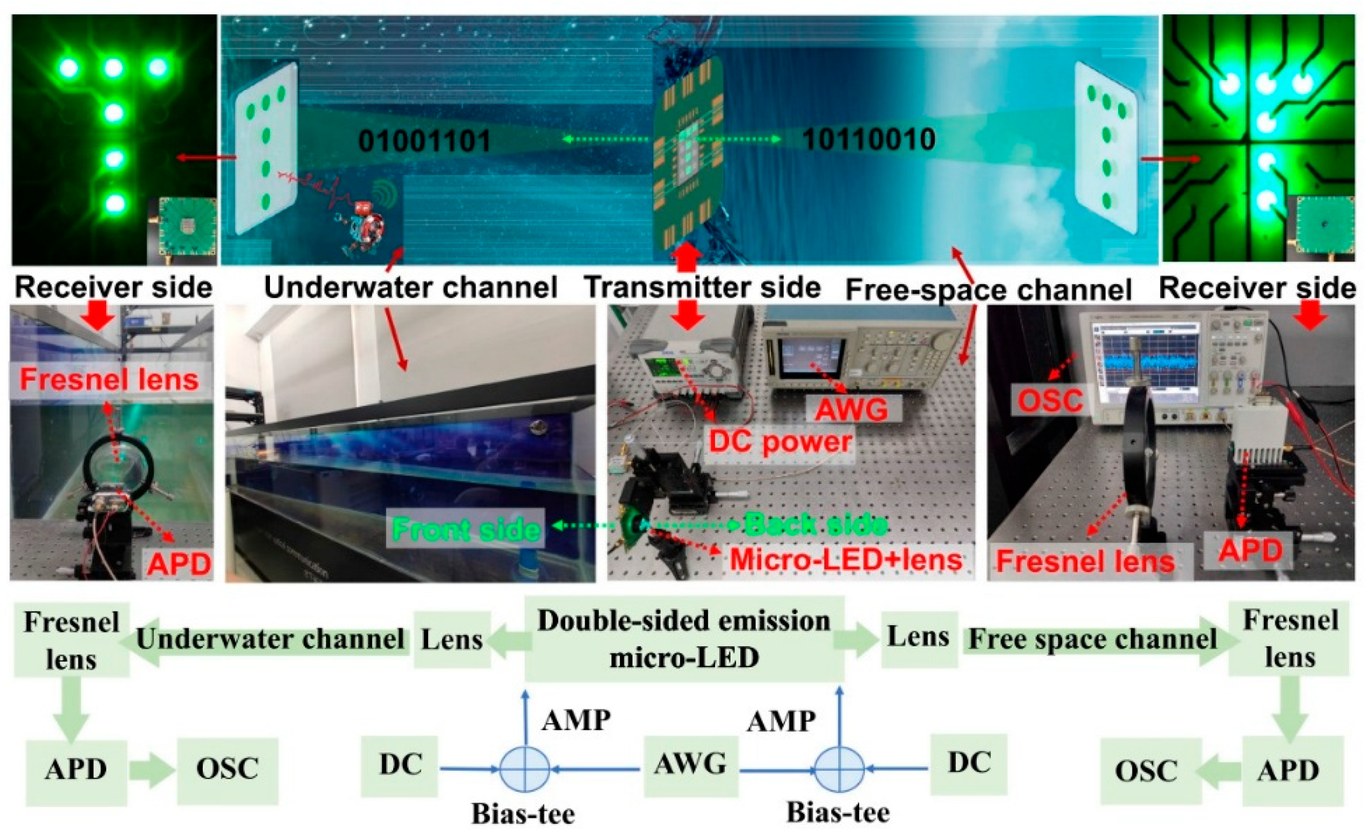 Photonics 12 00730 g005