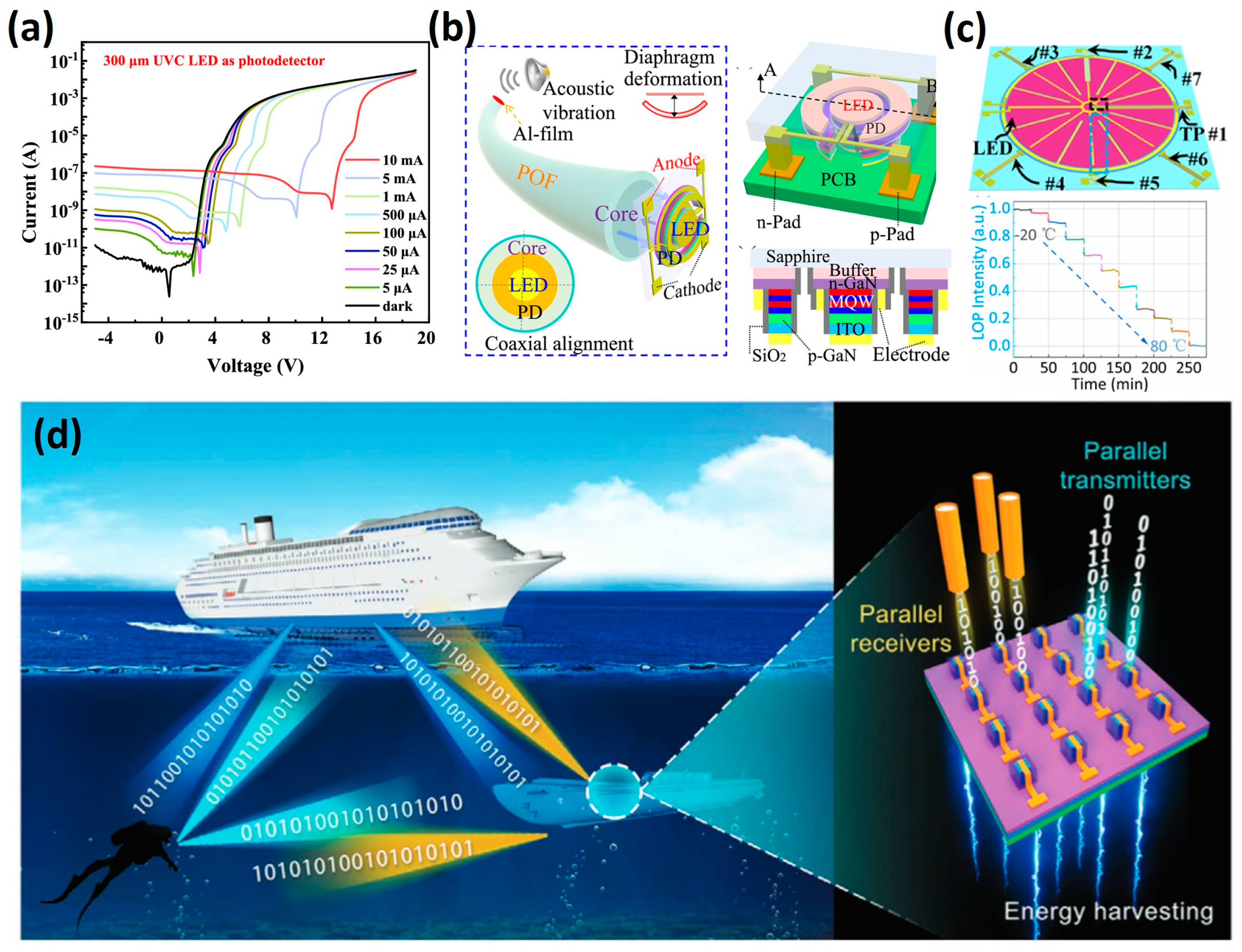 Photonics 12 00730 g013