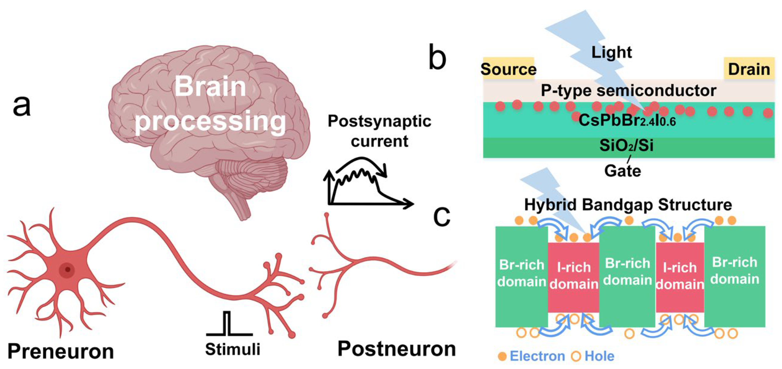 Photonics 12 00734 g001