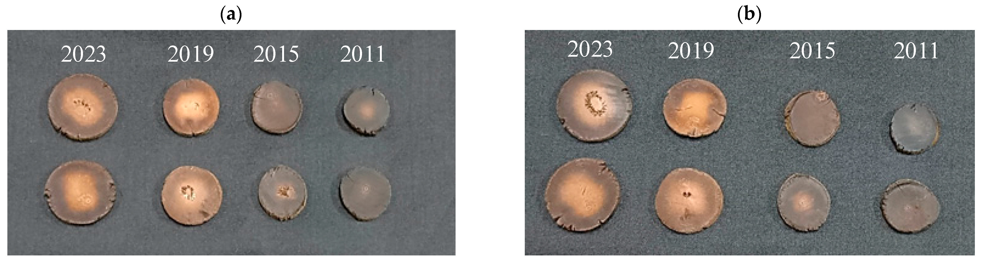 Photonics 12 00737 g002