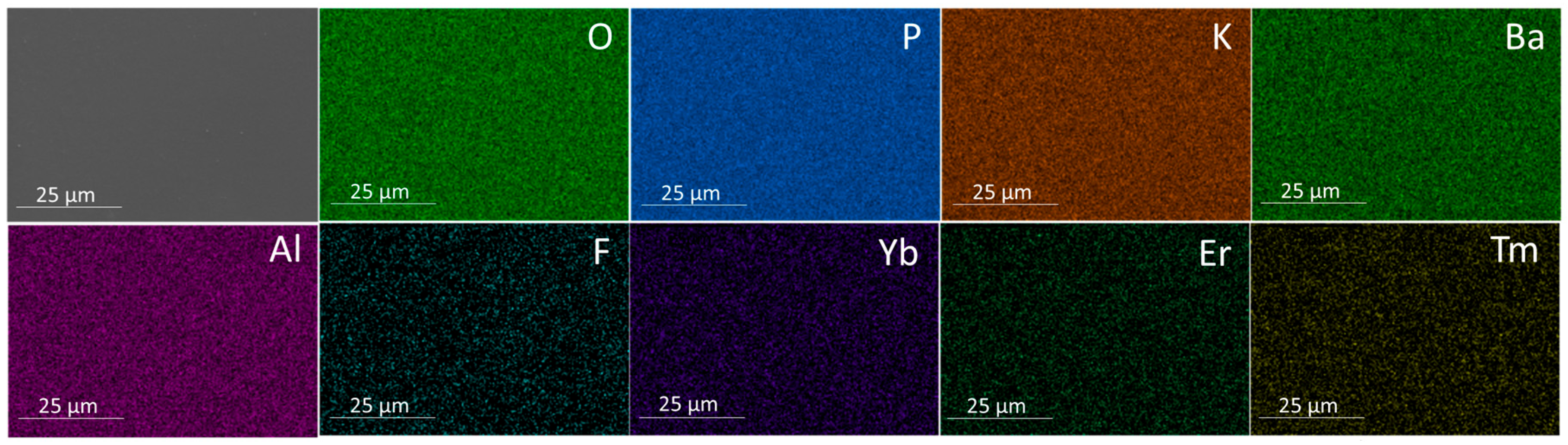 Photonics 12 00745 g002