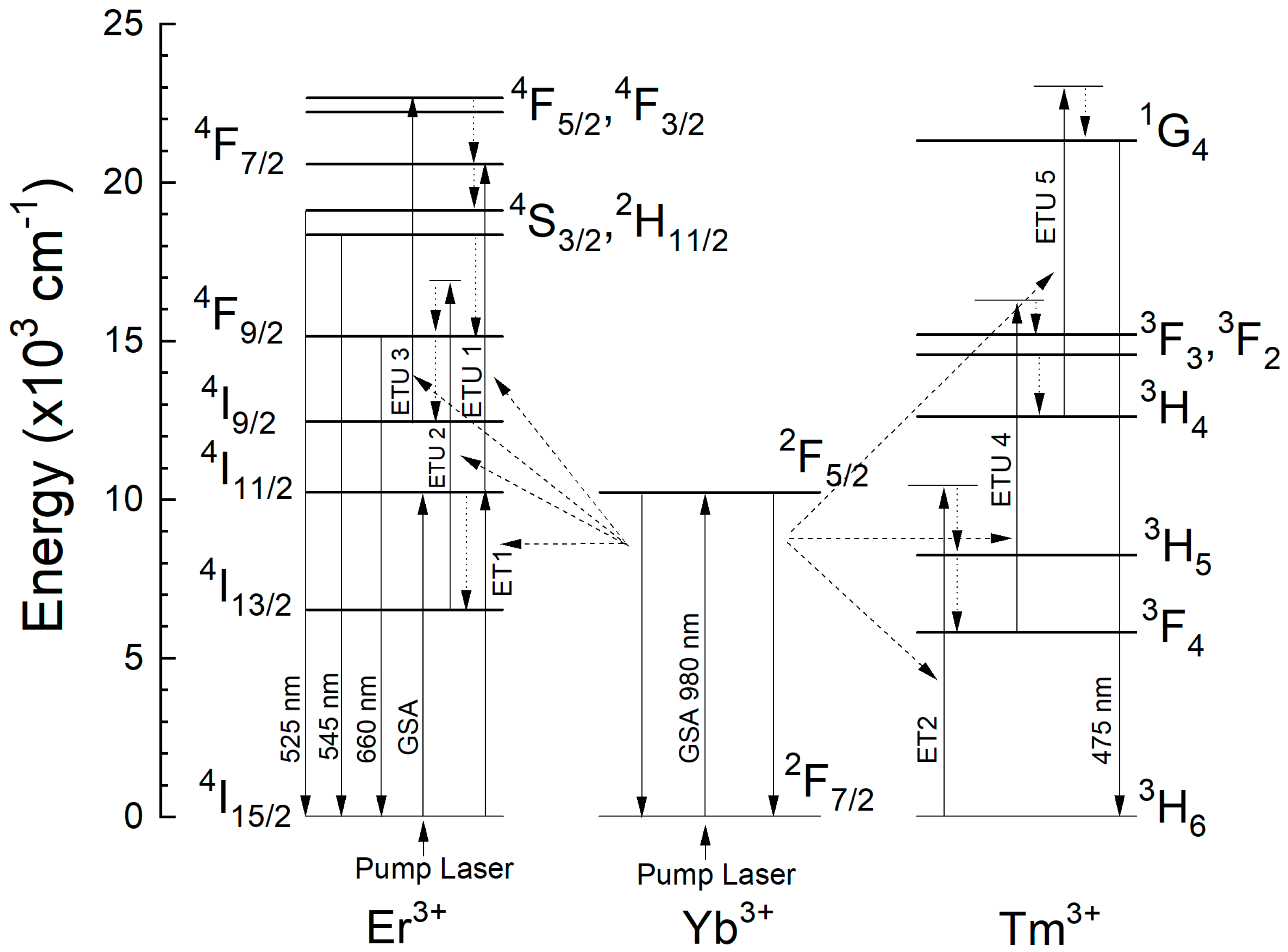 Photonics 12 00745 g005