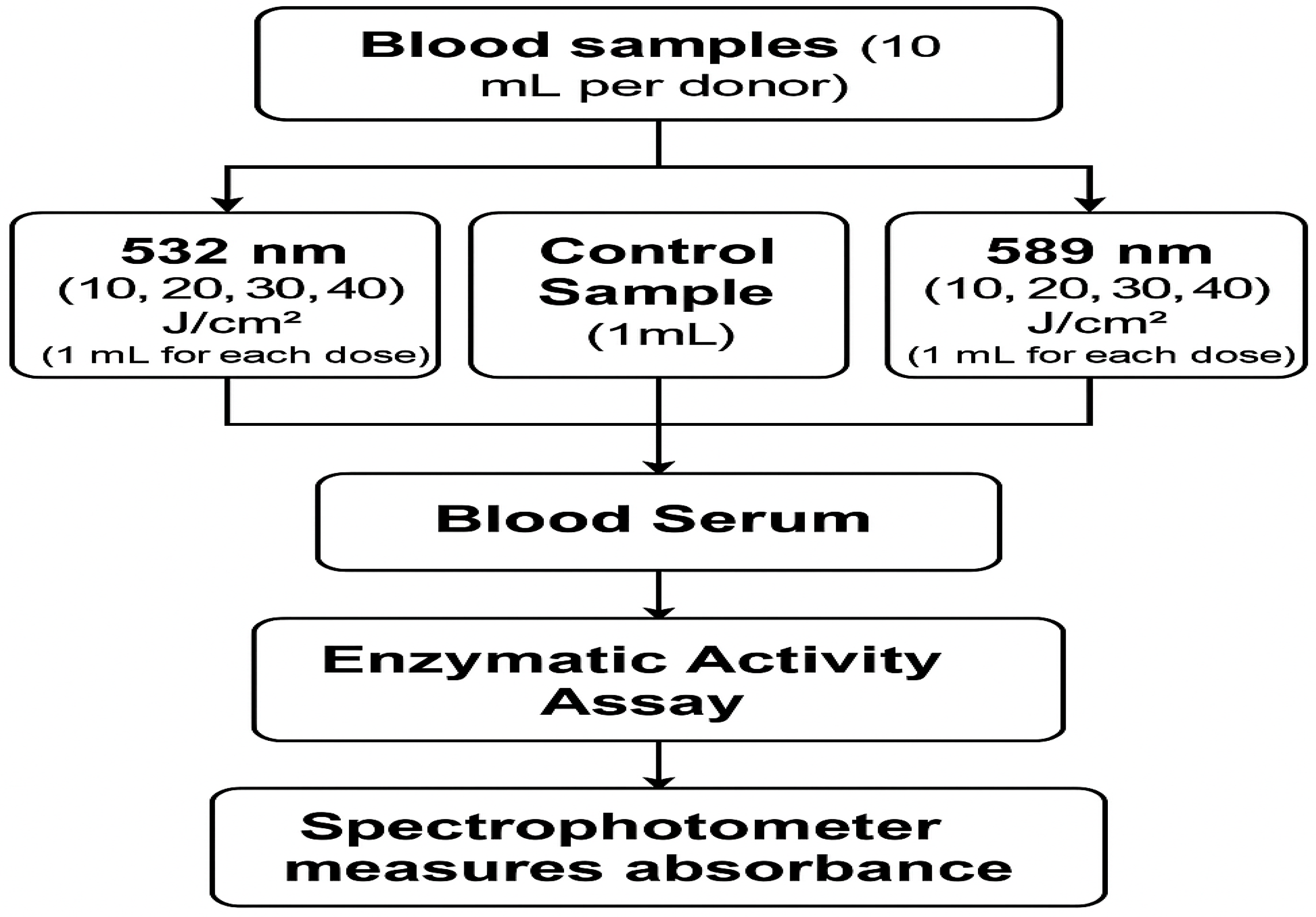 Photonics 12 00774 g001