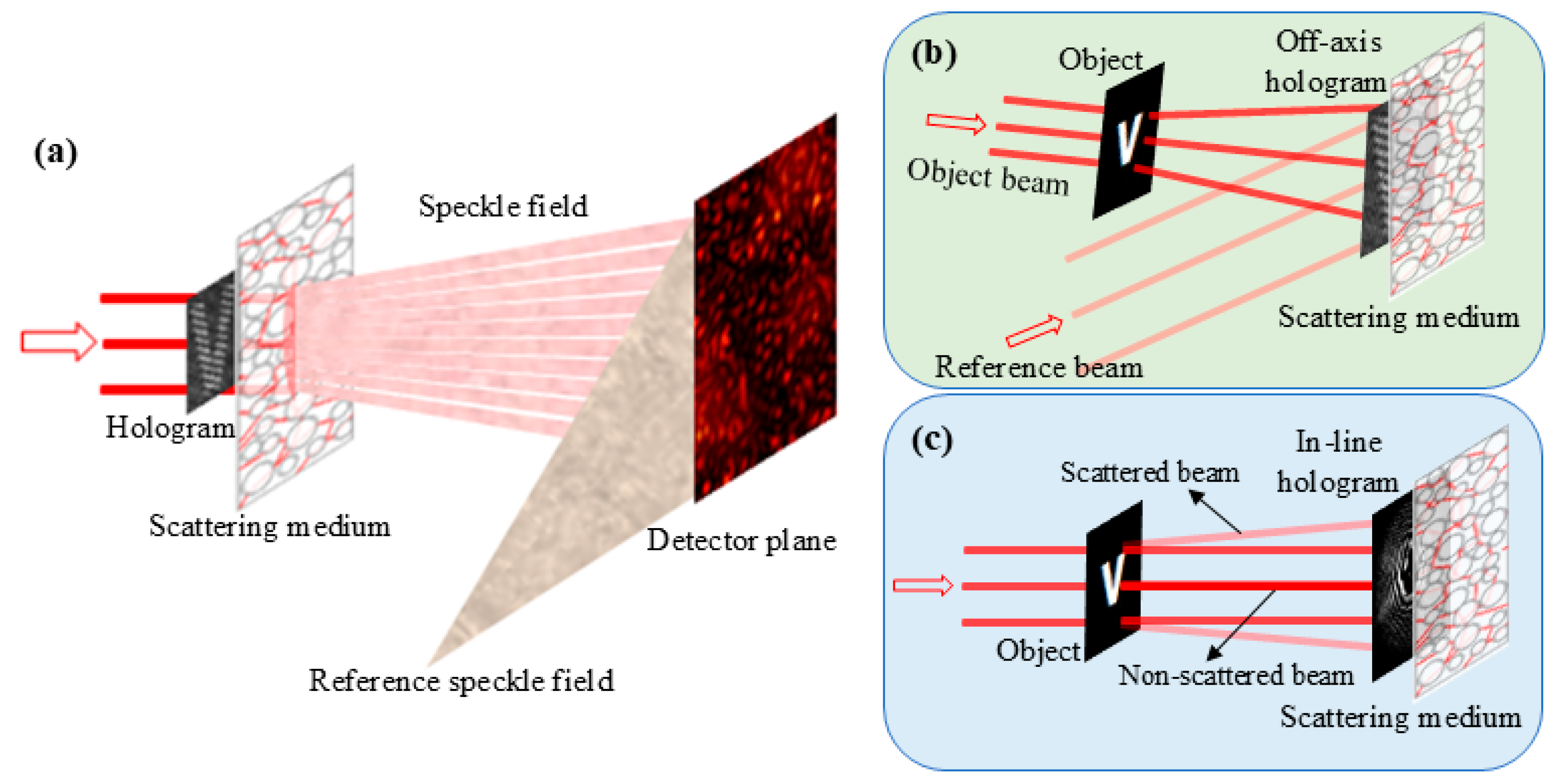 Photonics 12 00776 g007