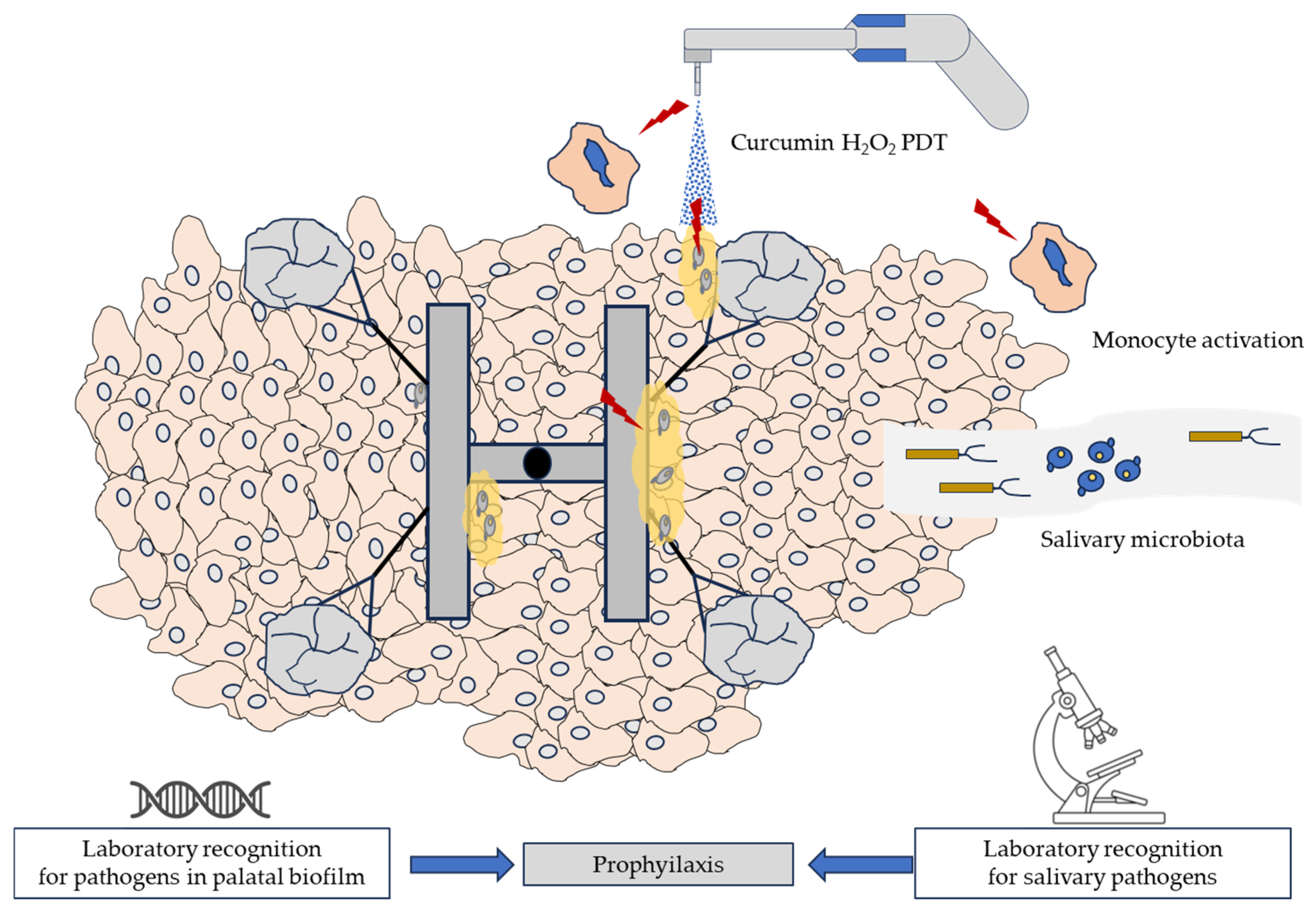 Photonics 12 00786 g004