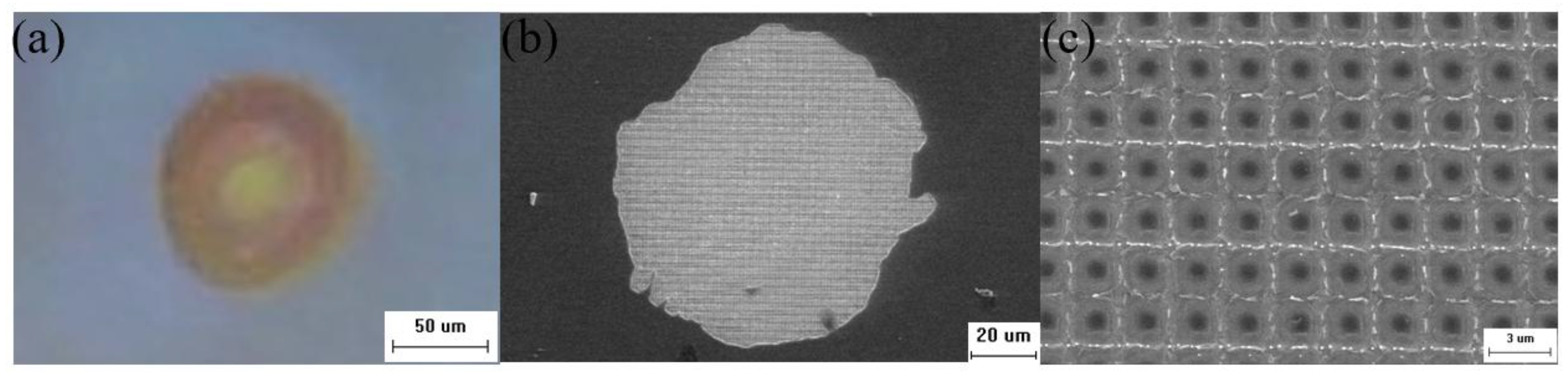 Photonics 12 00790 g007