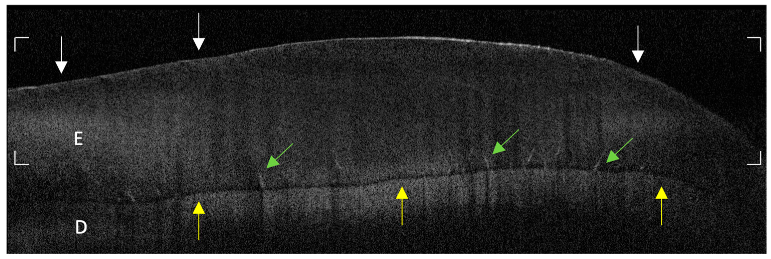 Photonics 12 00799 g001