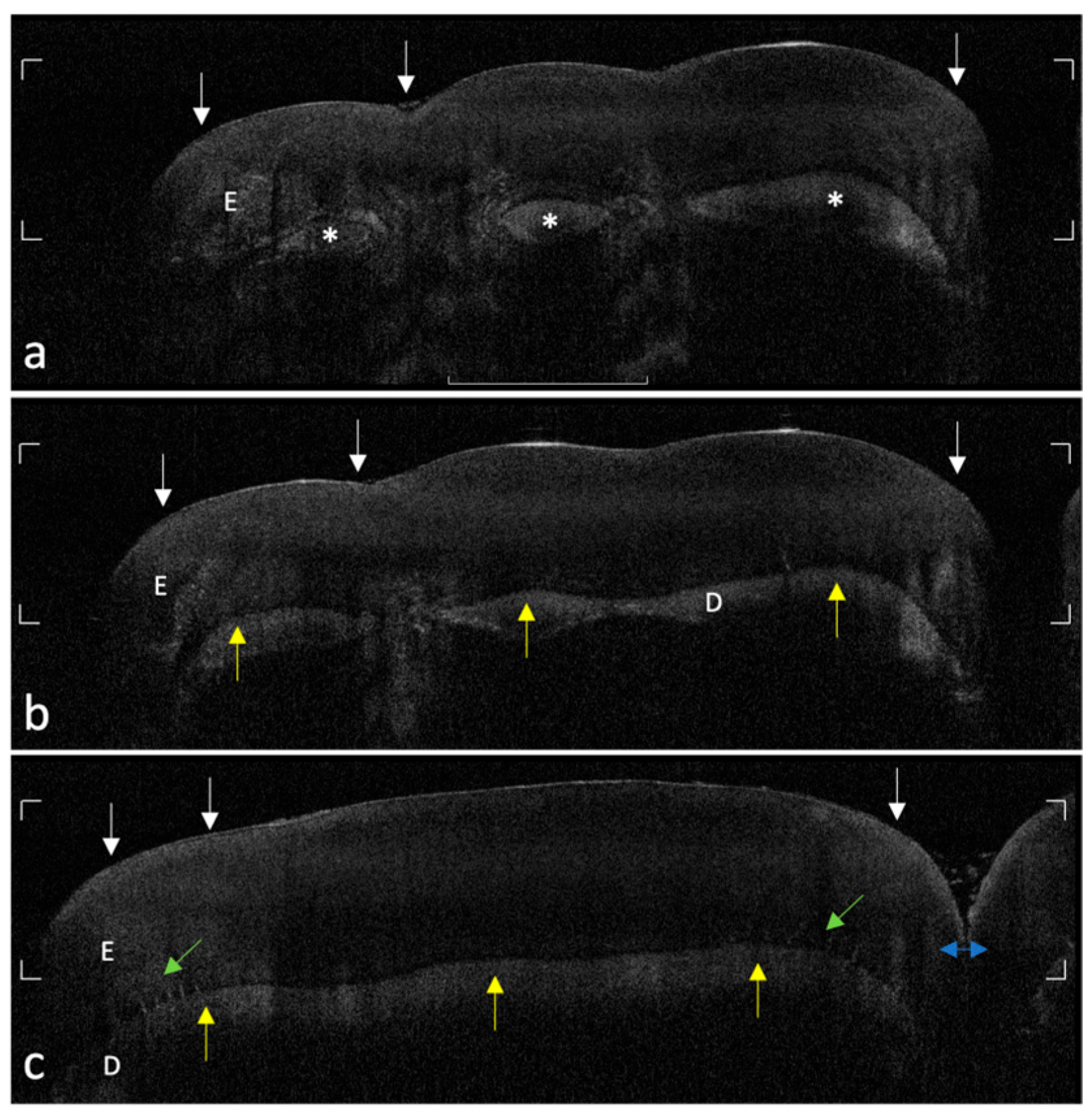 Photonics 12 00799 g002