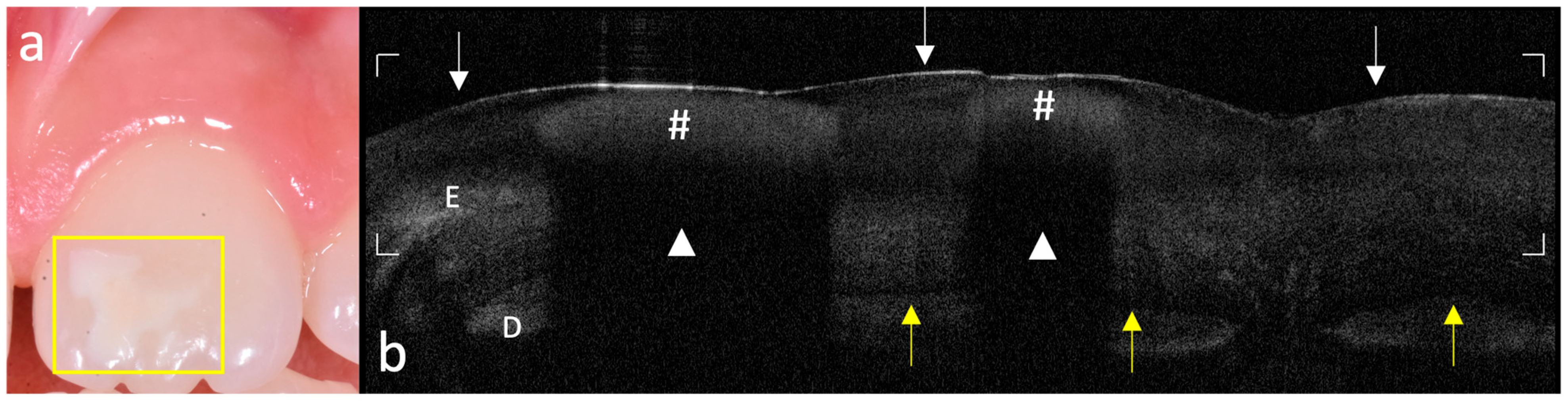 Photonics 12 00799 g003