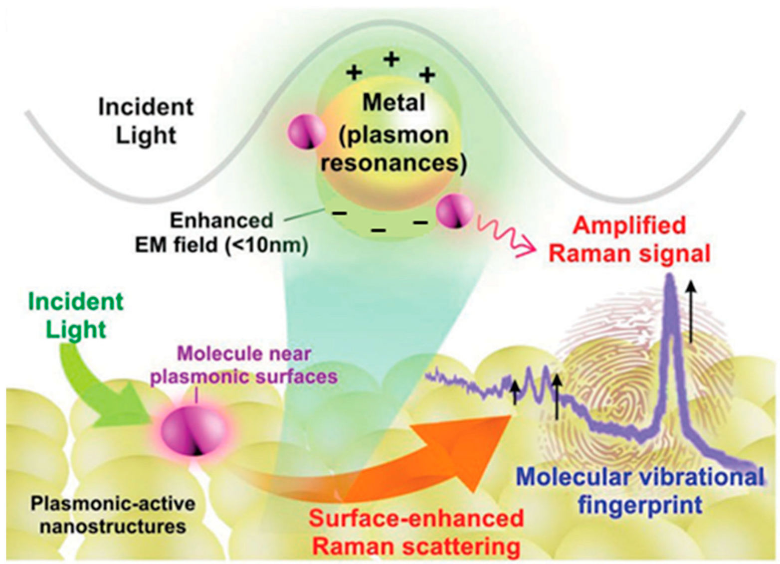 Photonics 12 00809 g002 Photonics 12 00809 g002