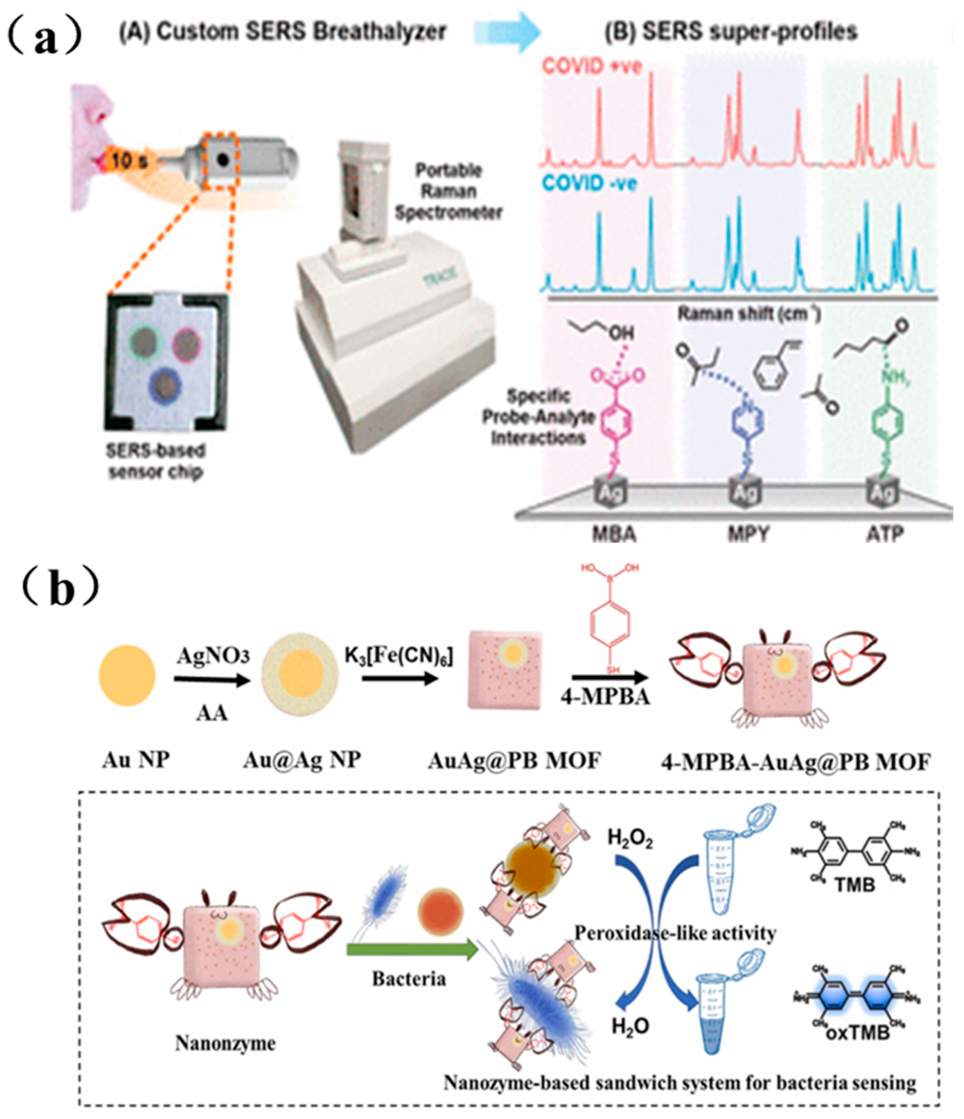 Photonics 12 00809 g008 Photonics 12 00809 g008