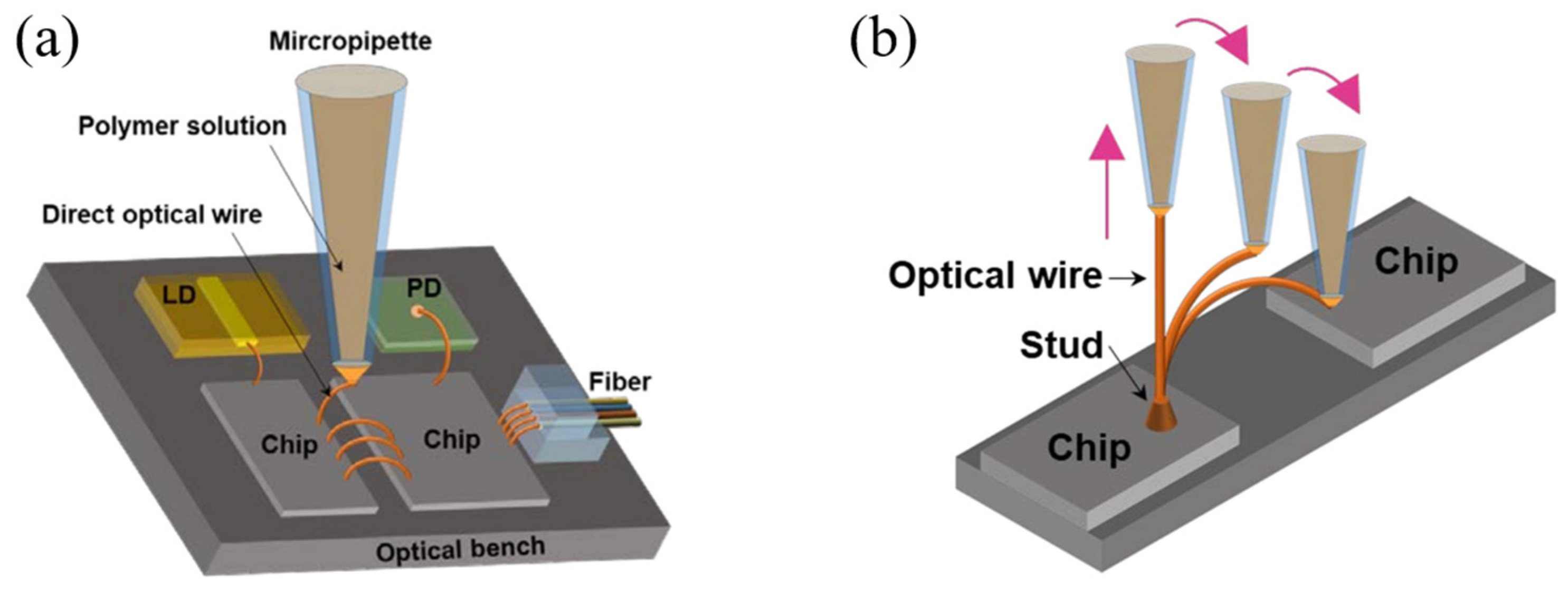 Photonics 12 00821 g008 Photonics 12 00821 g008