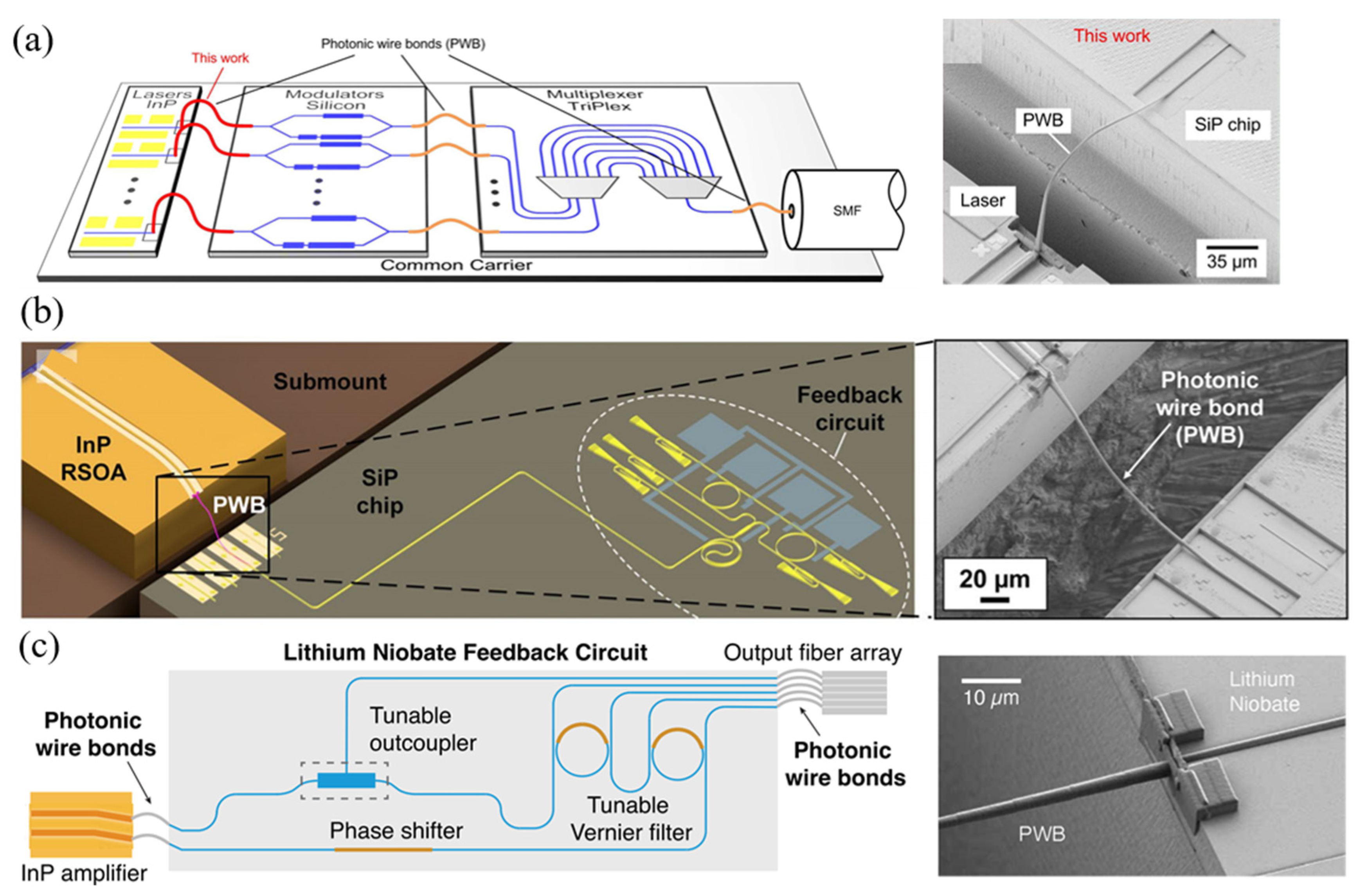 Photonics 12 00821 g010 Photonics 12 00821 g010