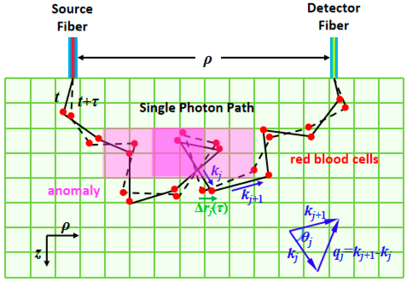 Photonics 12 00828 g001
