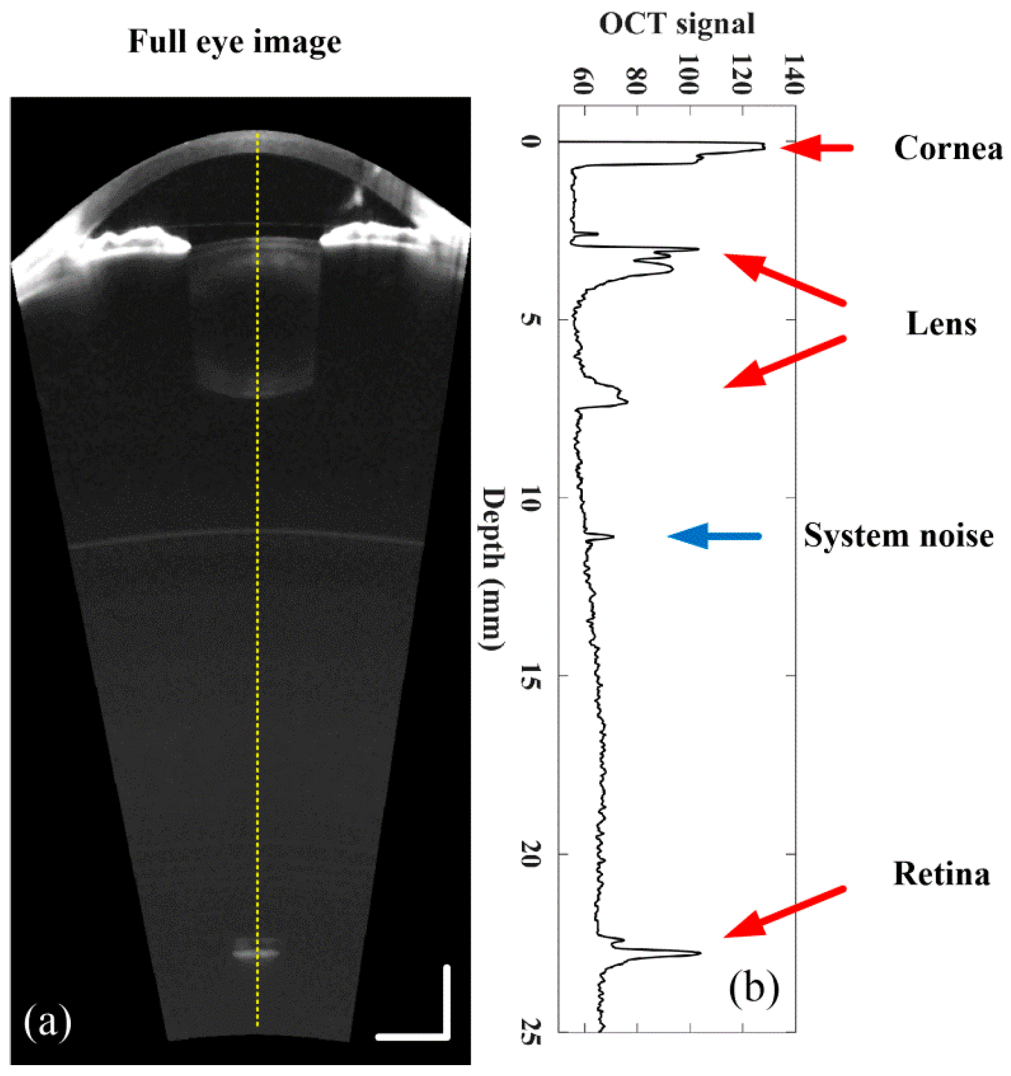 Photonics 12 00856 g004 Photonics 12 00856 g004